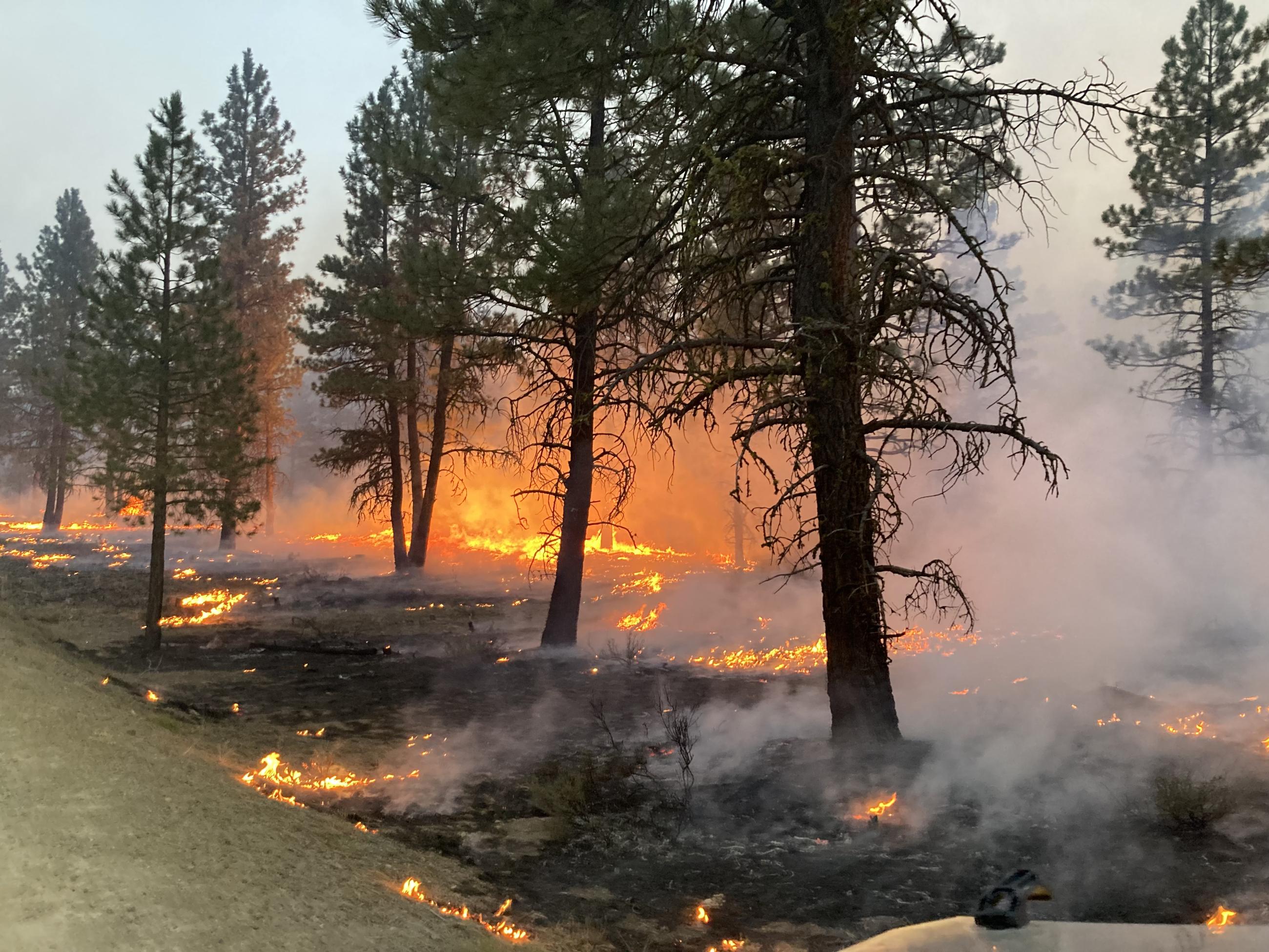 Firing Operation on the Telephone Fire near Perry Meadow