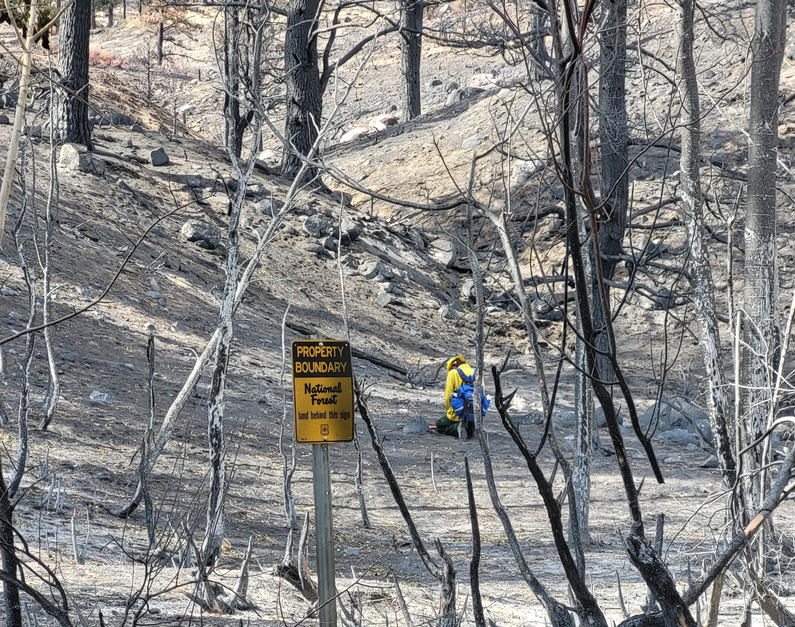 Davis Fire BAER Team Soil Scientist Nathan Clark, wearing a yellow shirt and hard hat and blue backpack, kneels in the middle of a burned area on the Davis Fire to collect soil samples.