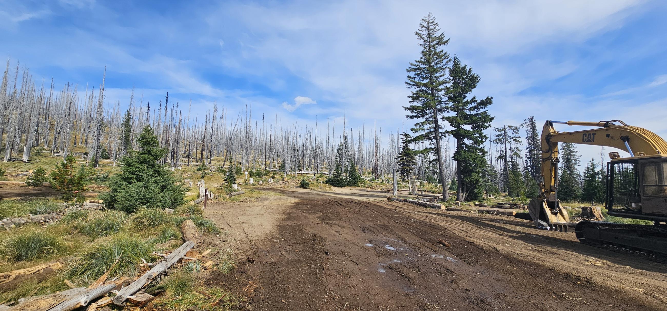 South Climb Trailhead with an excavator being used to remove some of the large down wood. Trees in the background were killed by a previous fire.