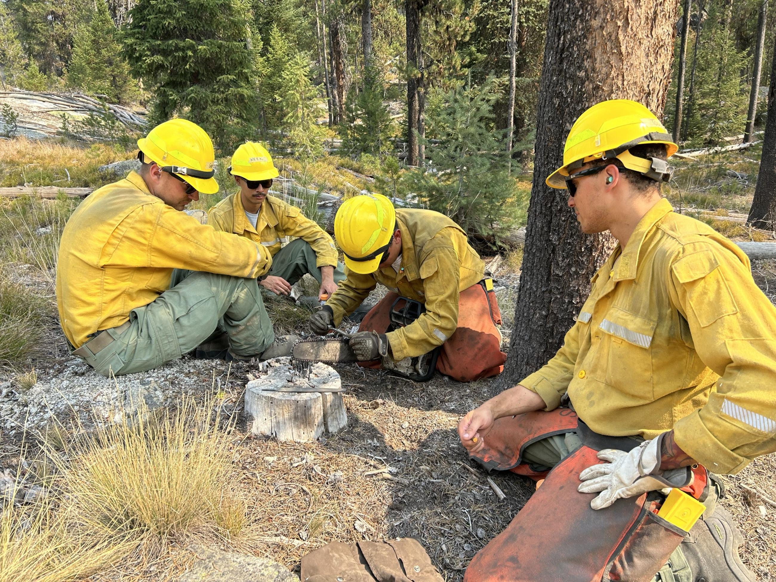 Sawyer showing firefighter how to sharpen the chainsaw