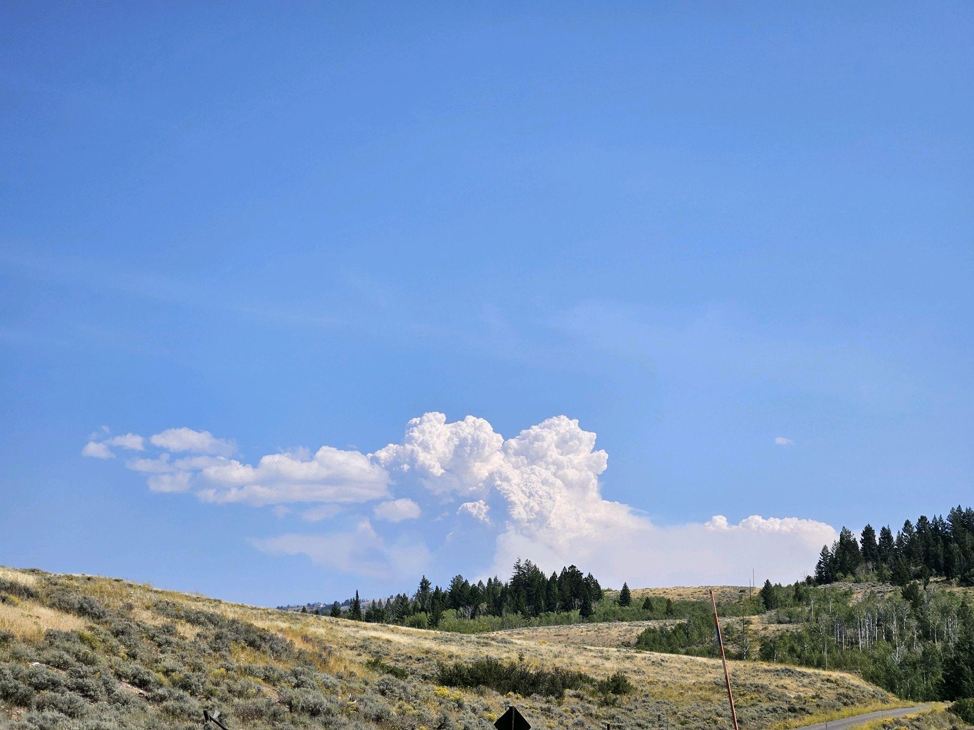 a large smoke cloud rises above dry grass and distant trees