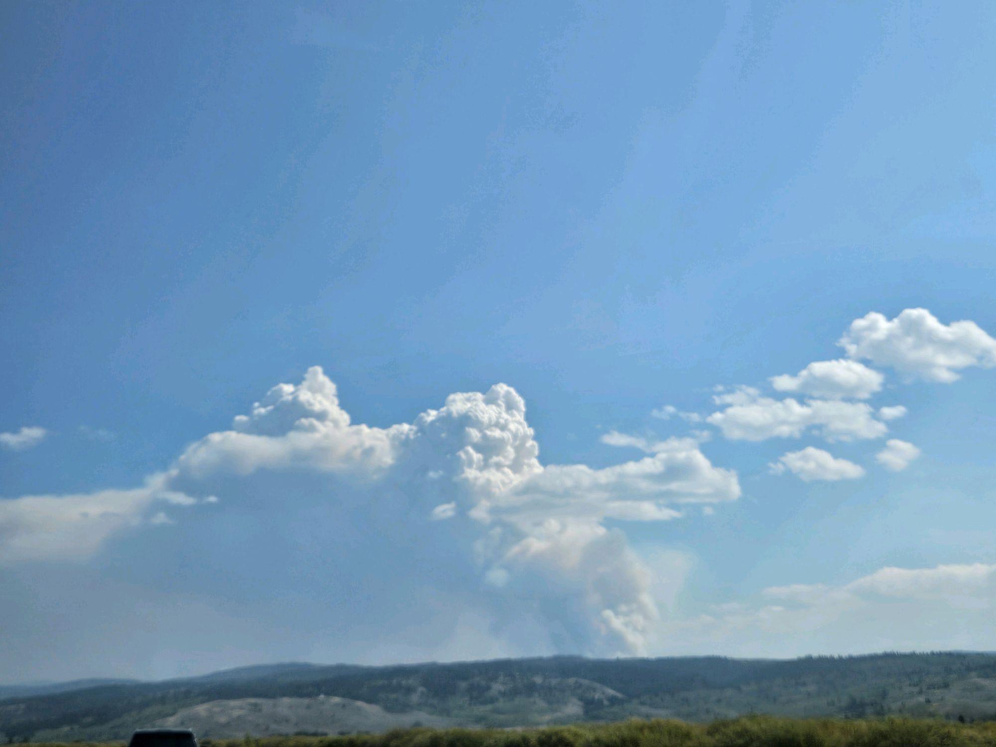 A plume of smoke rises in the distance over evergreen trees and yellow grass on a sunny blue-sky day