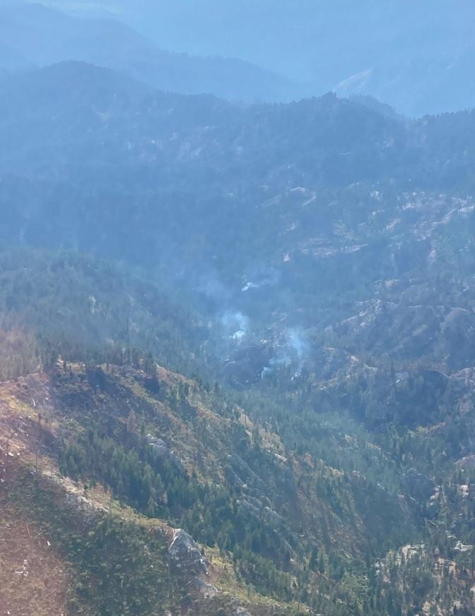 small puff of smoke is visible above the tree tops