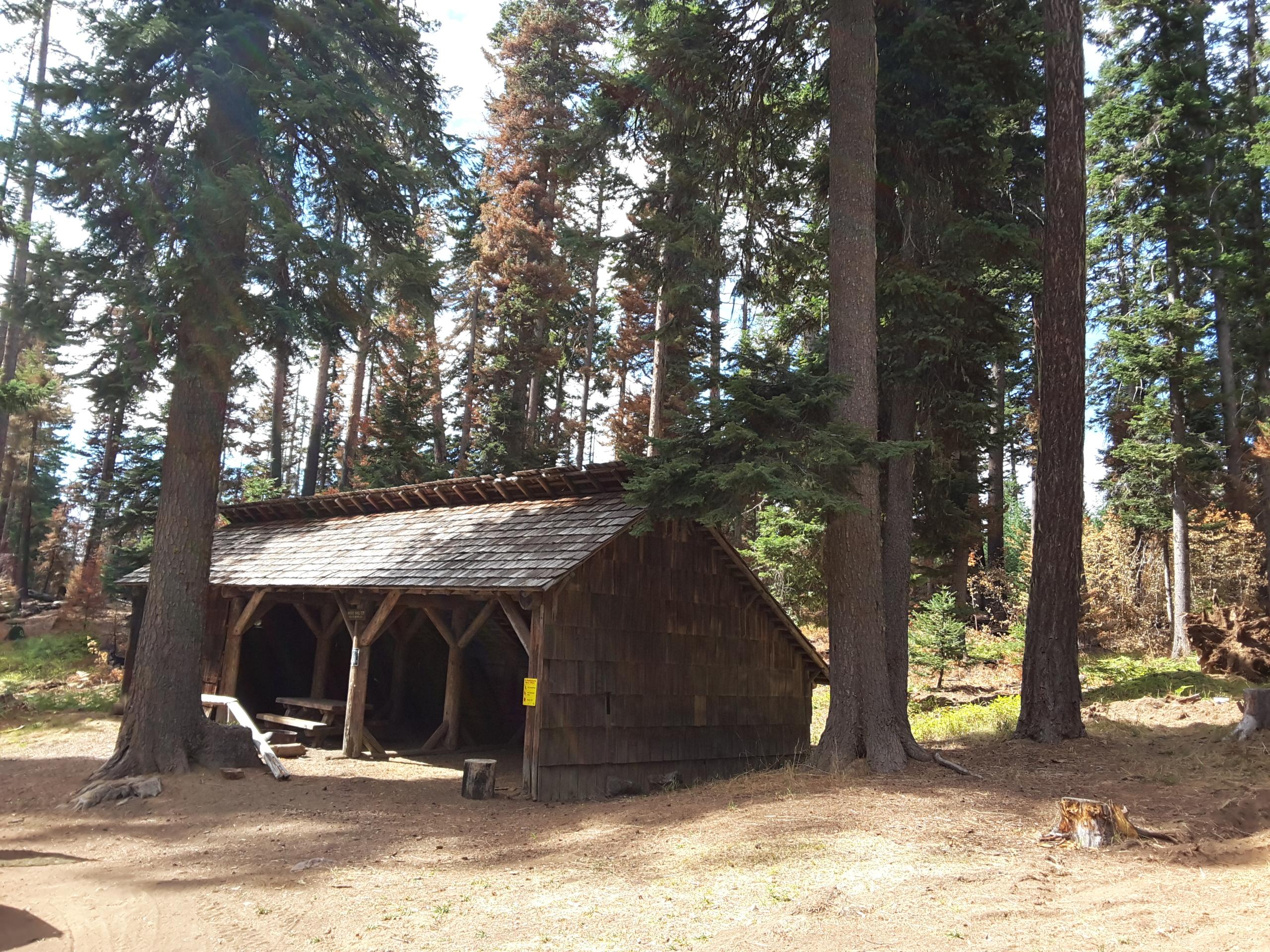 Wicky Shelter in a stand of green trees, with fire-damaged vegetation in the background