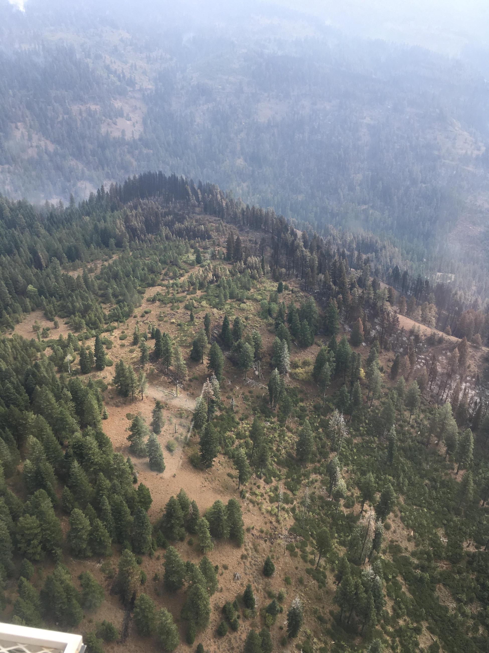 A timbered ridge line as seen from above