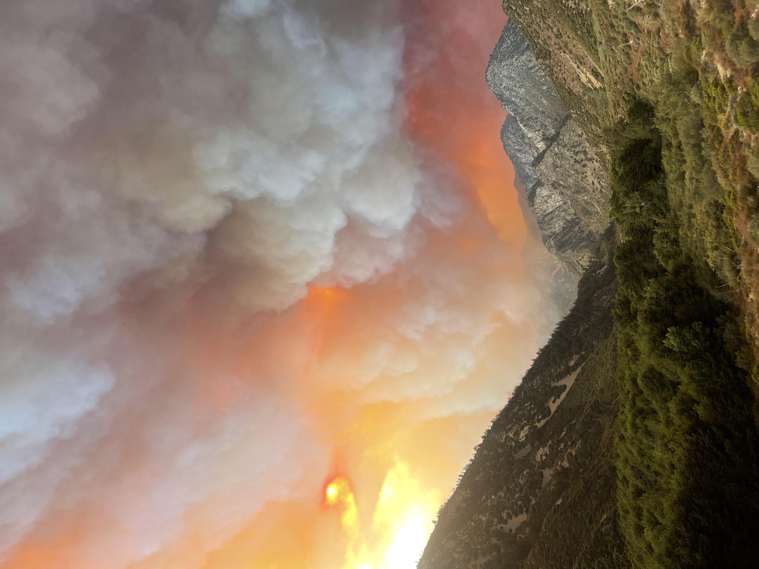 Rising smoke off a mountain side dulls the vibrant color of the flames 