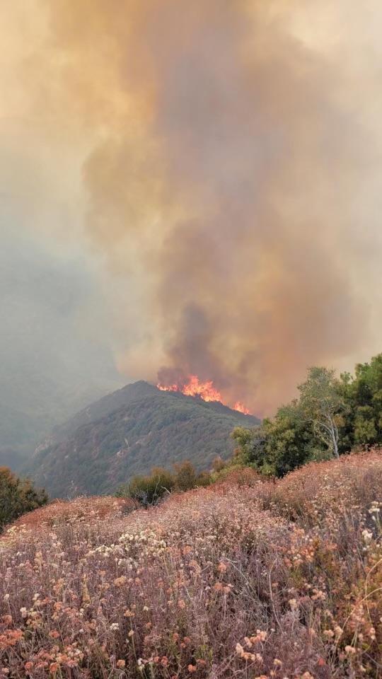 Vegetation in the foreground sets the tone for a hillside fire flanked with smoke 