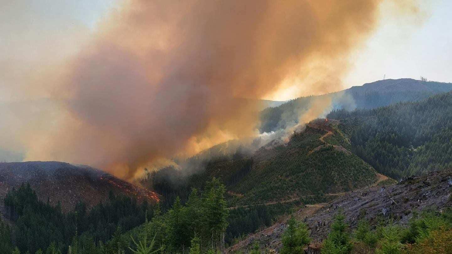 Airial View 2 of the Huckleberry Ridge Fire September 5, 2024