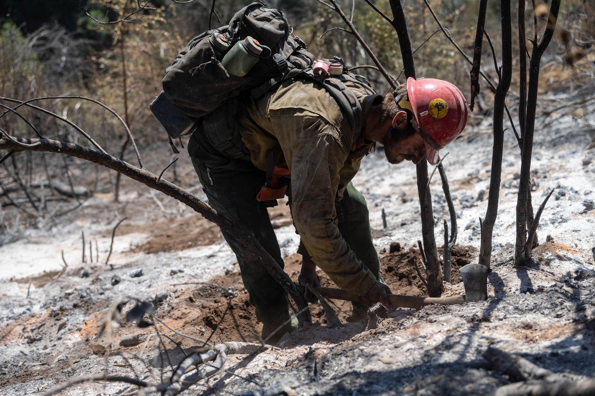 Firefighter bent over chopping the ground to dig up and extinguish hot spots.