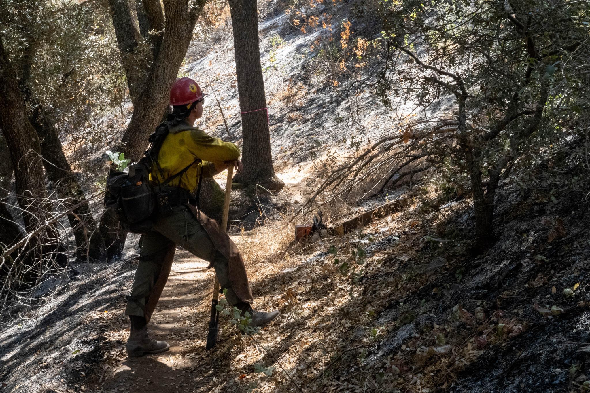 Firefighter stands in the forest