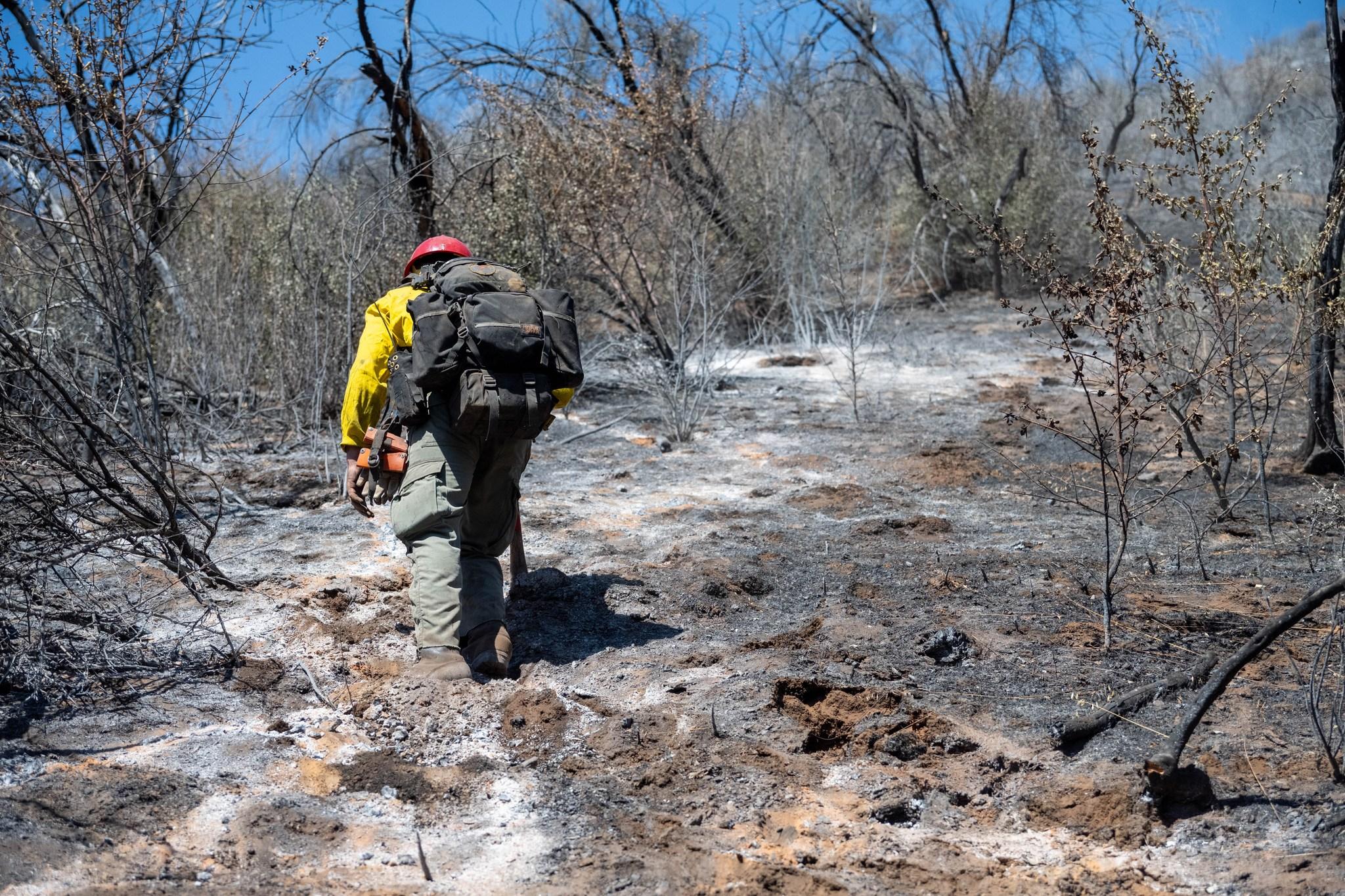 Firefighter climbing through burnt out forest