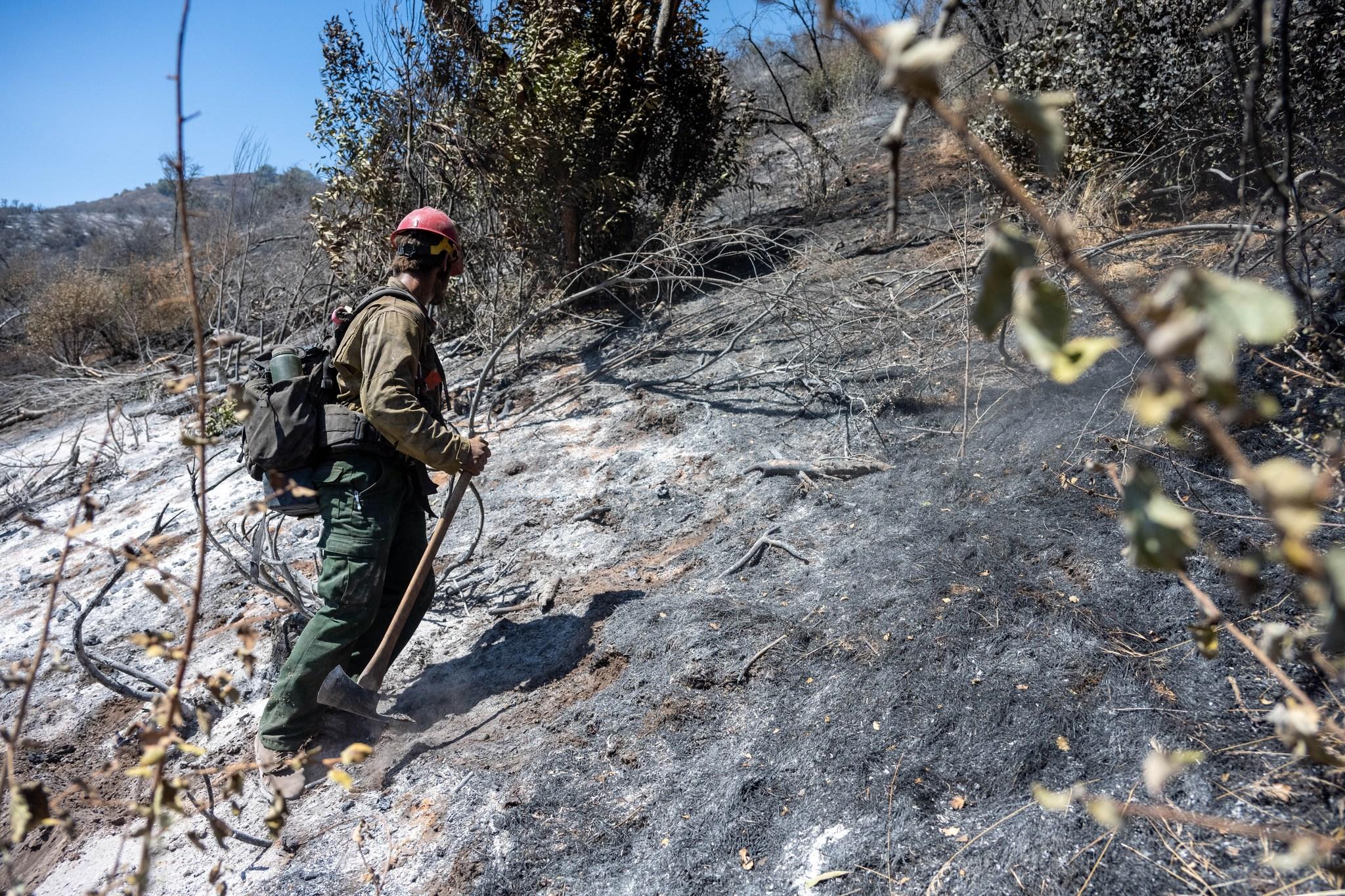  Firefighter with a tool in a burned area