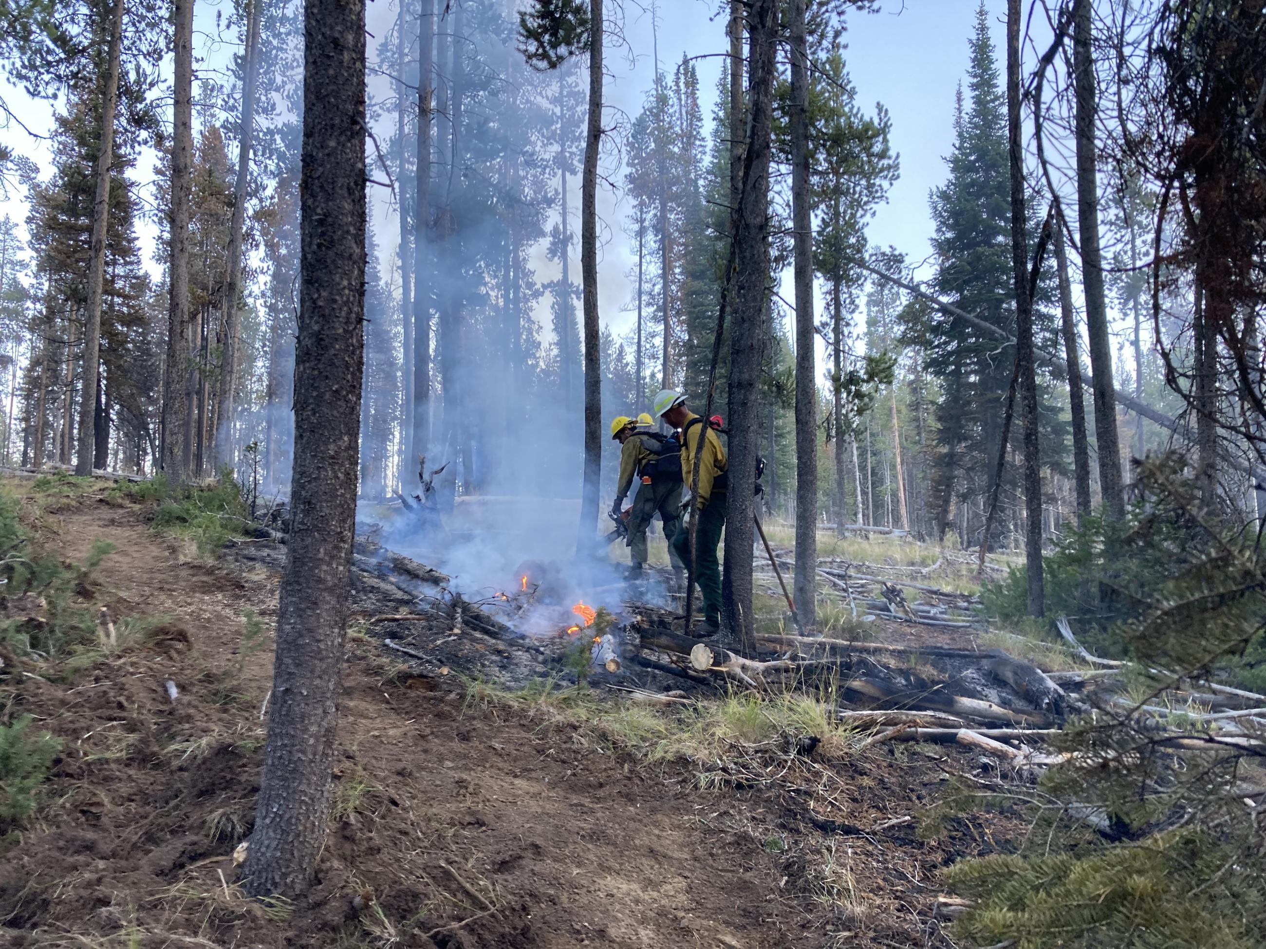 Firefighters work near Cape Horn