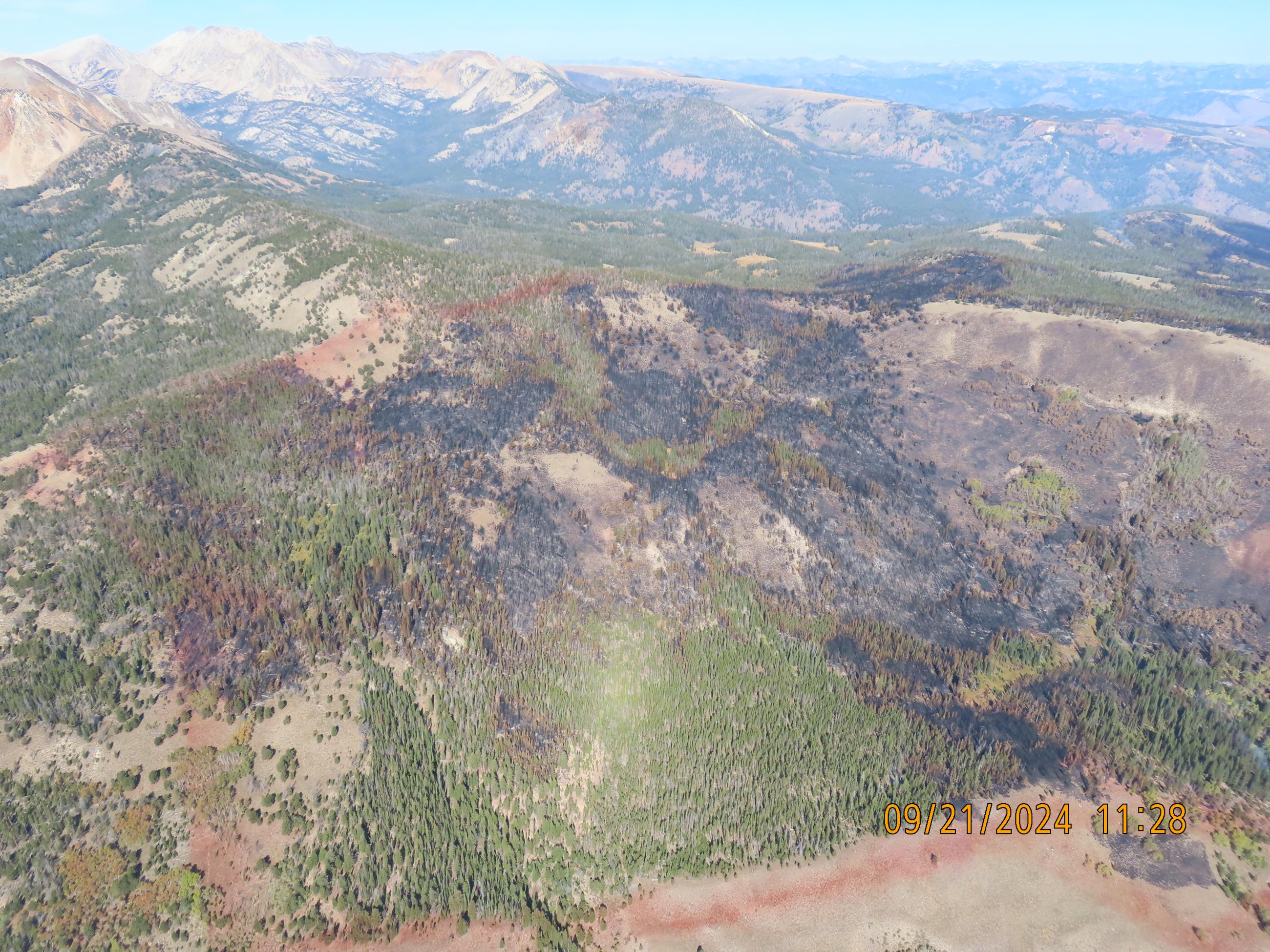 Aerial view of burned area with retardant lines 