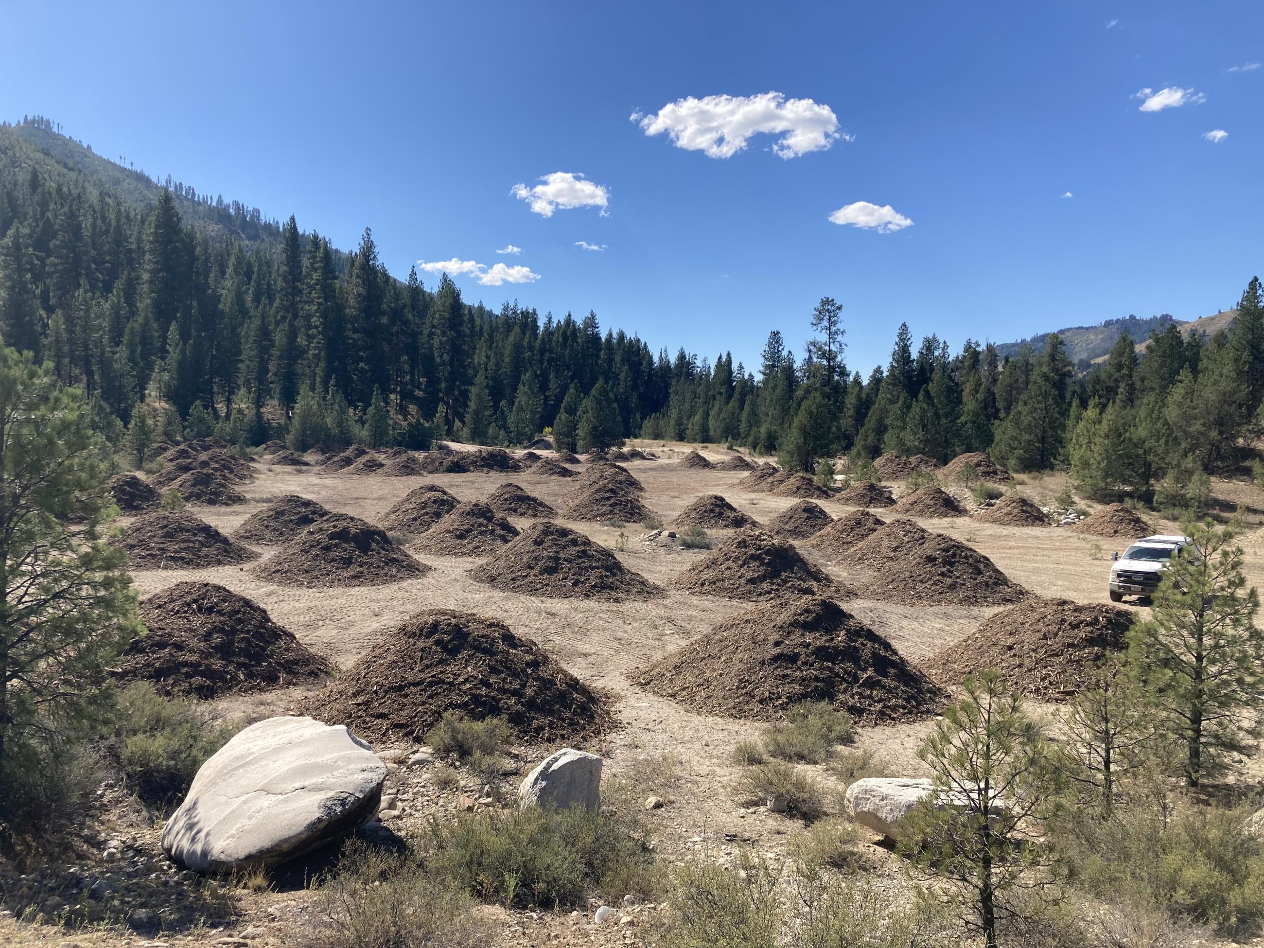 Woodchip piles from thinning trees on Chip Mountain, September 25, 2024