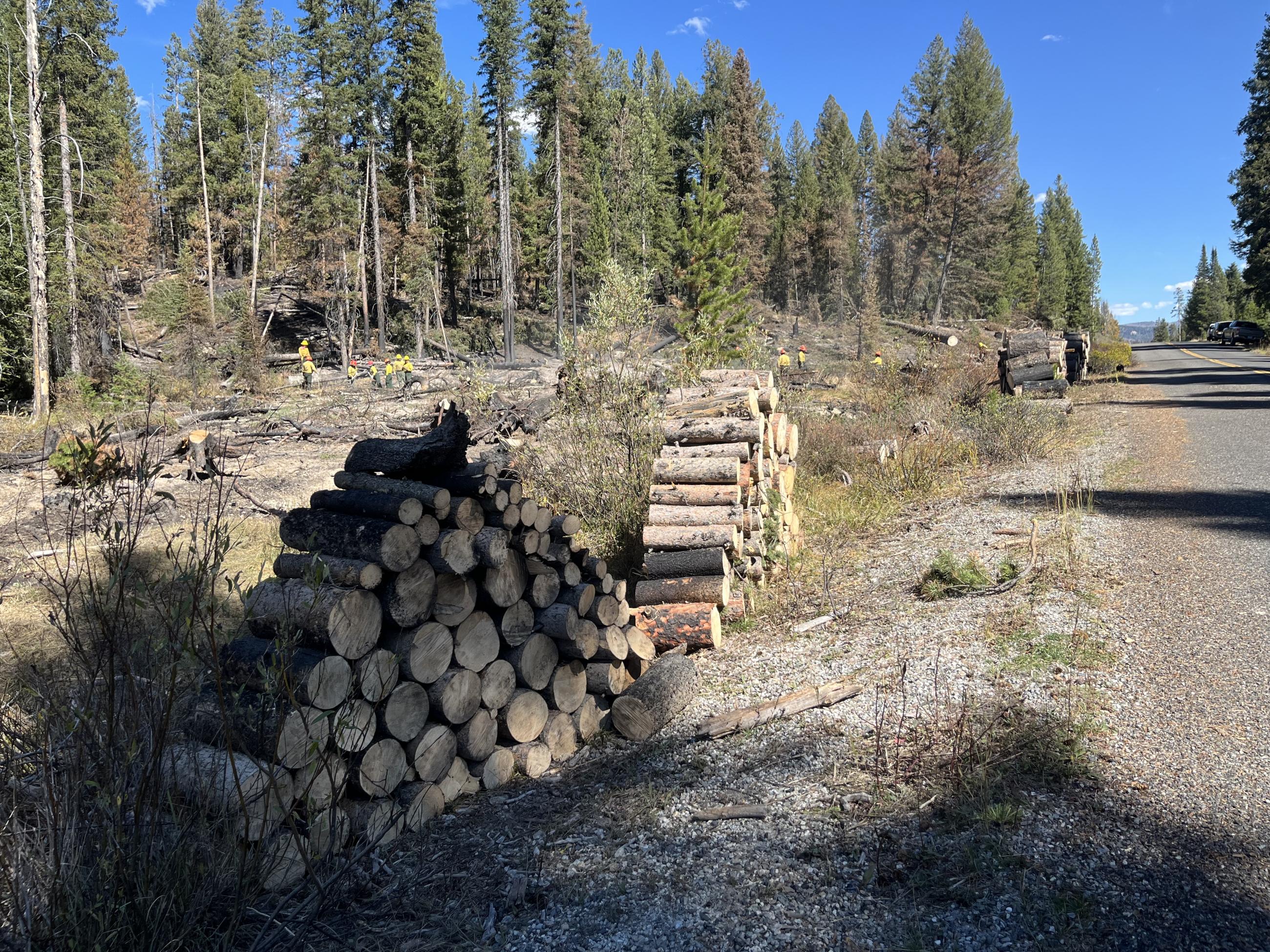 Firewood stacked along a road at Stanley Lake