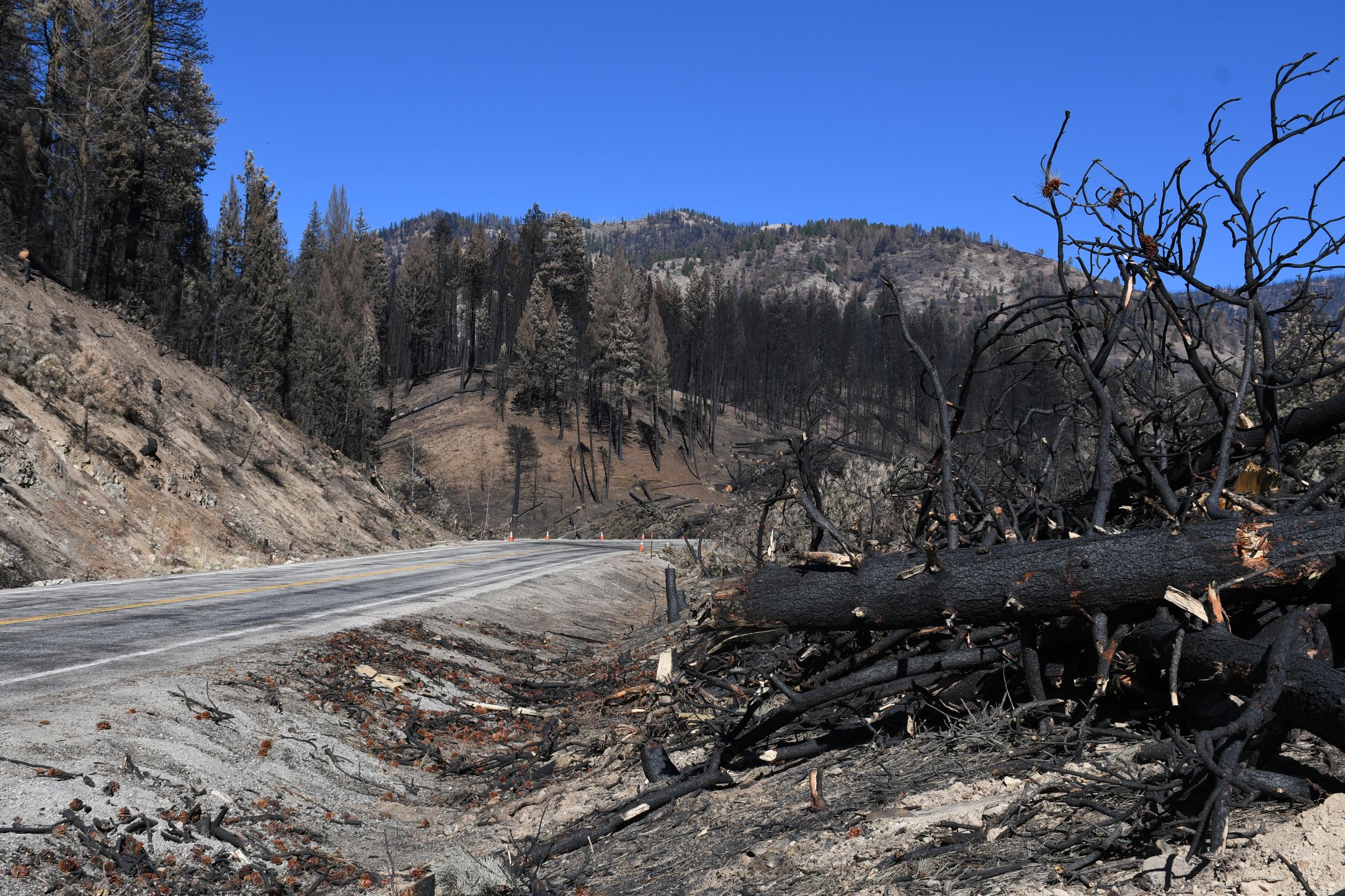 Burn scar alongside Highway 21, September 27, 2024