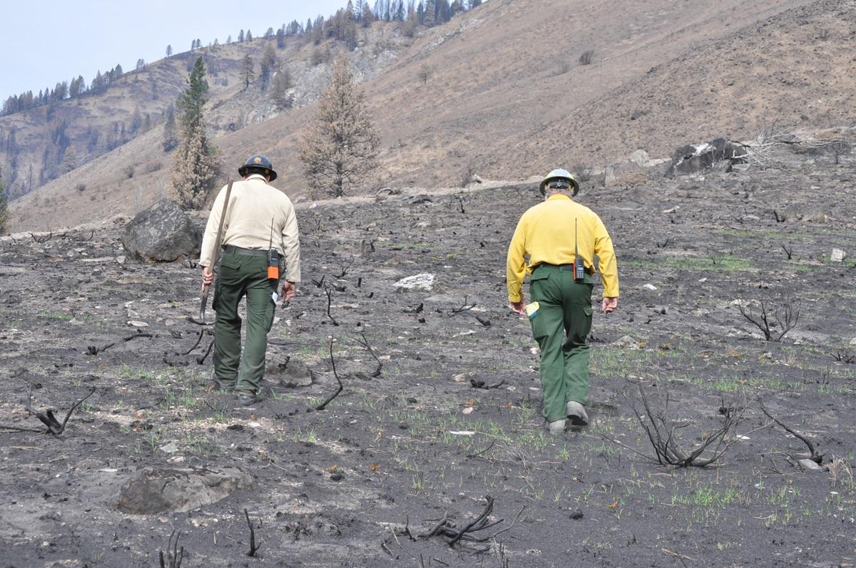 Two firefighters walking up burned slope