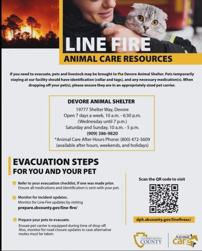 image showing data regarding the animal control evacuation center