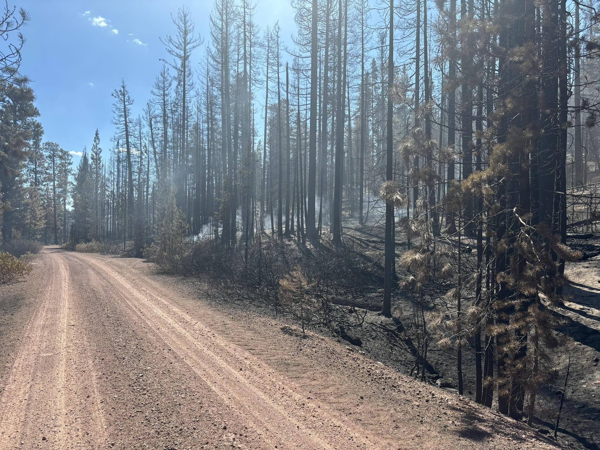 Fuels continue burning within the containment lines on Buck Creek Fire.