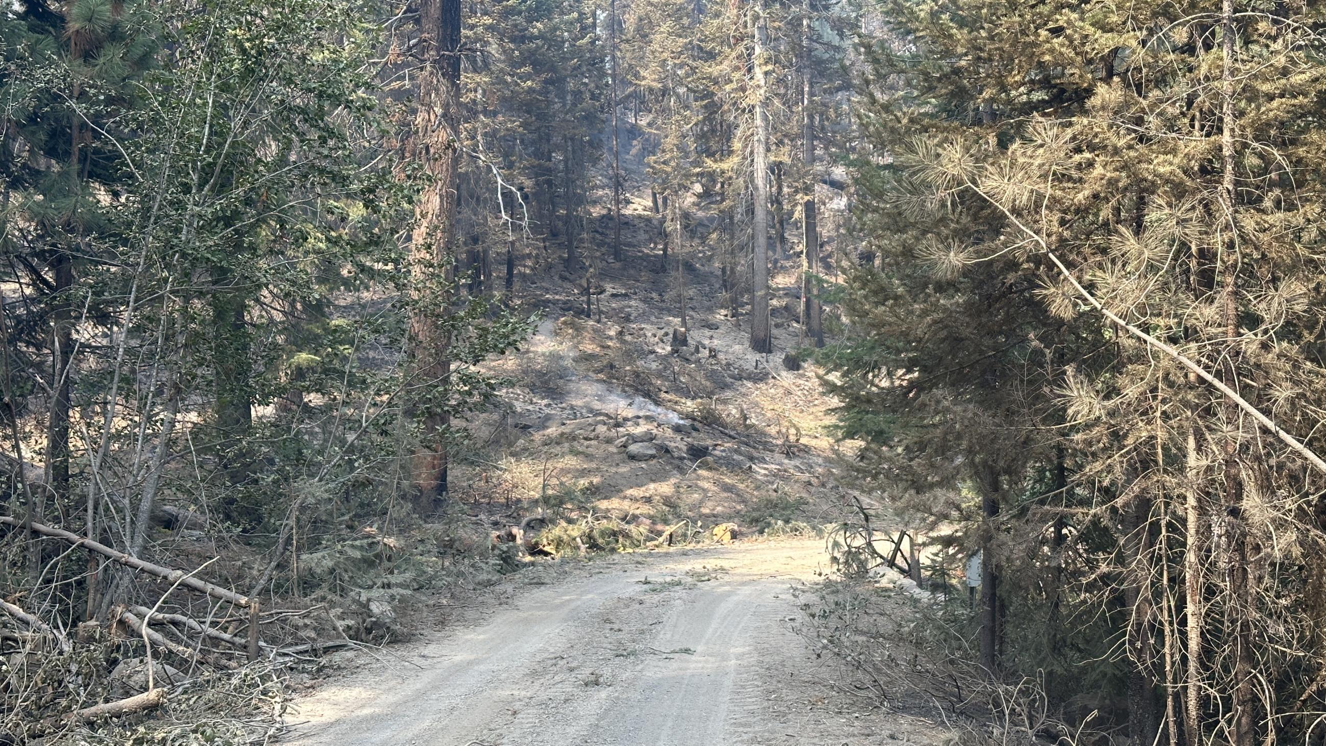 Dry conditions on the Buck Creek Fire