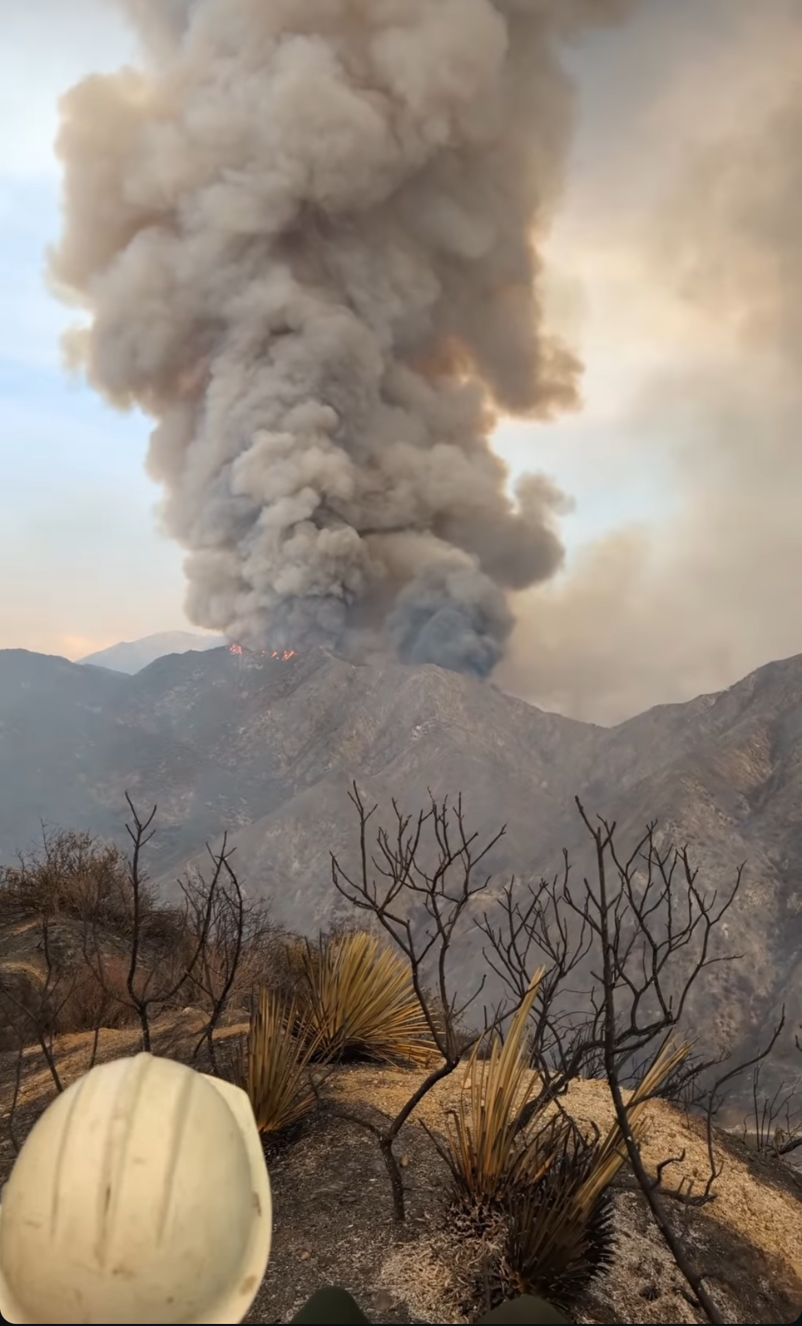 Smoke column and hills, scorched trees, and firefighters in the forefront.