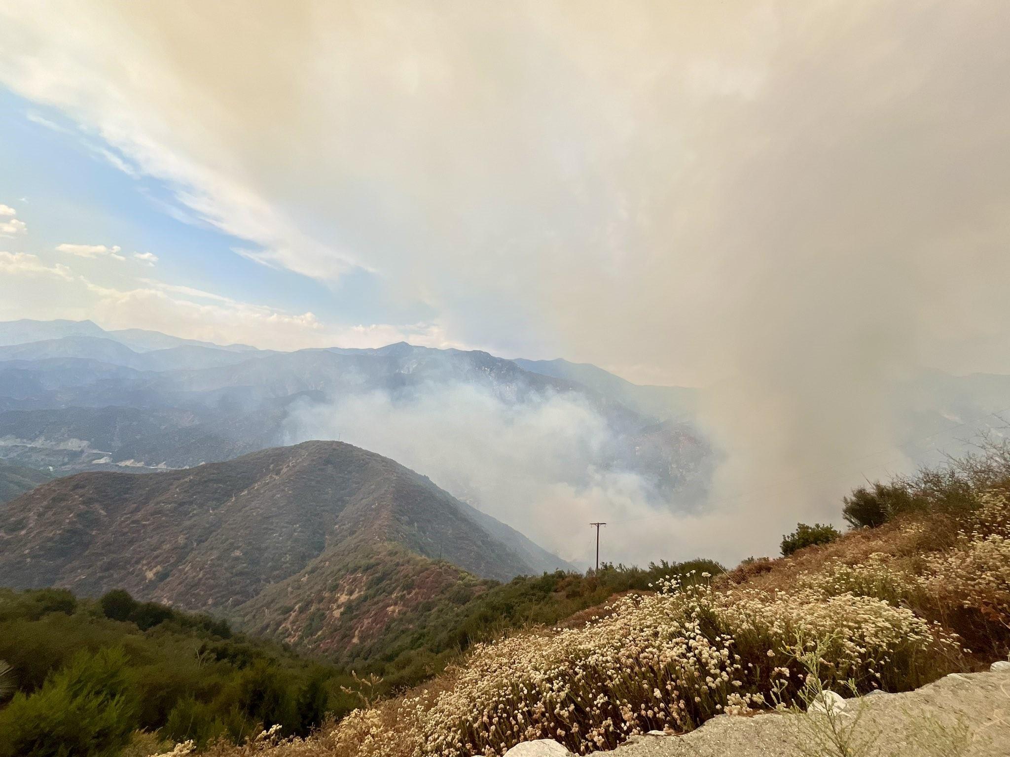 A heavy smoke column in a forested canyon.