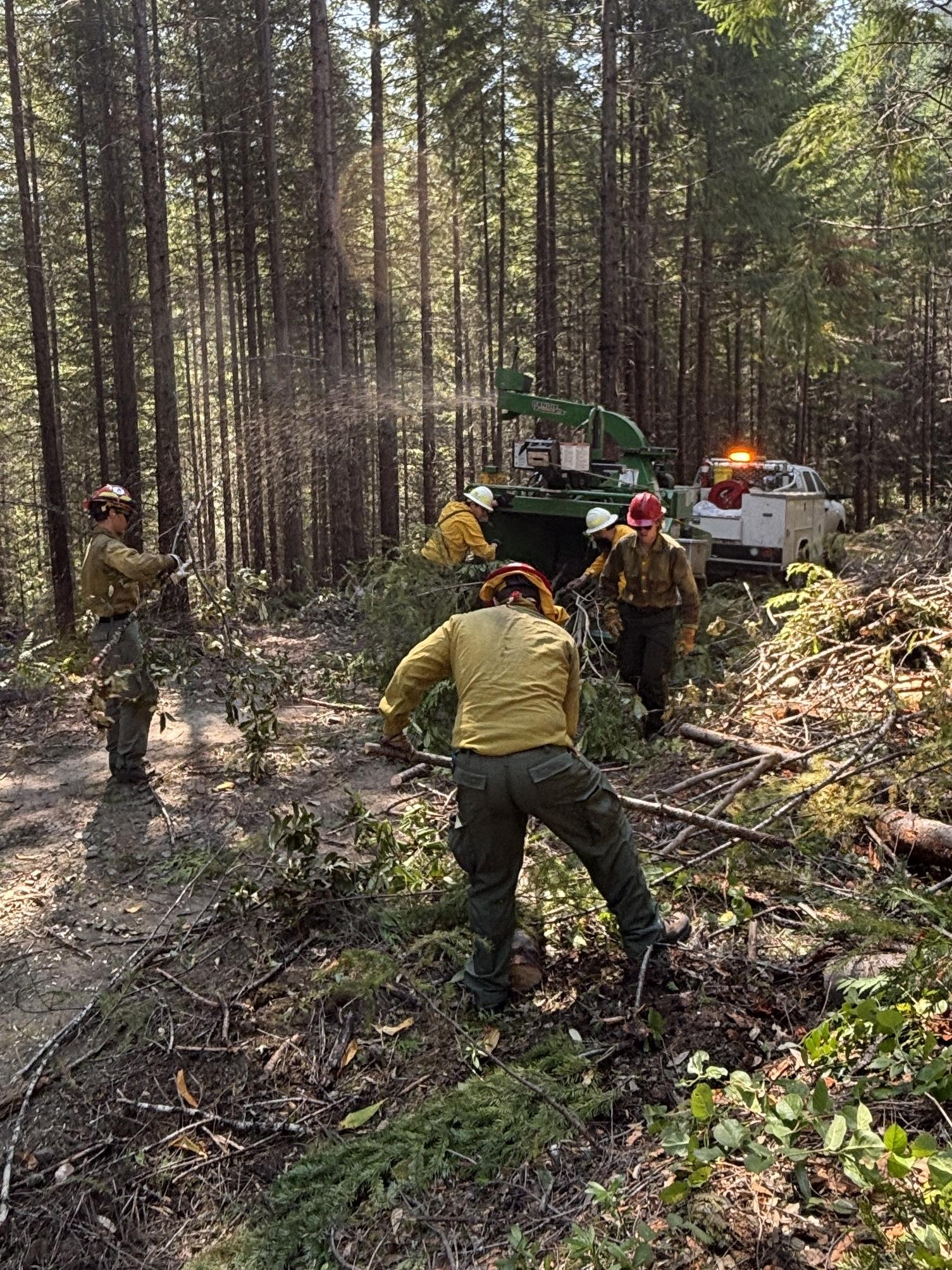 Crews Brushing // Willamette Complex South by Christina Ralstin