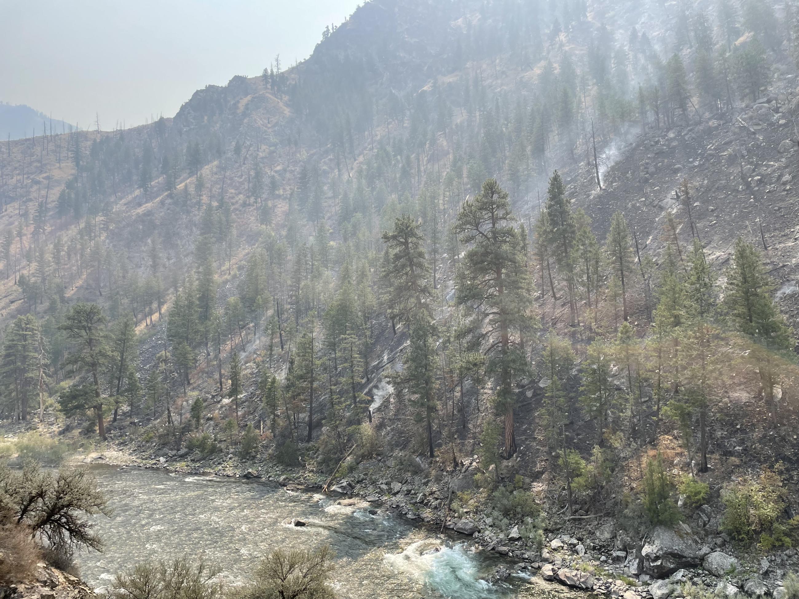 Phot shows the fire burning along the Middle Fork Salmon River.