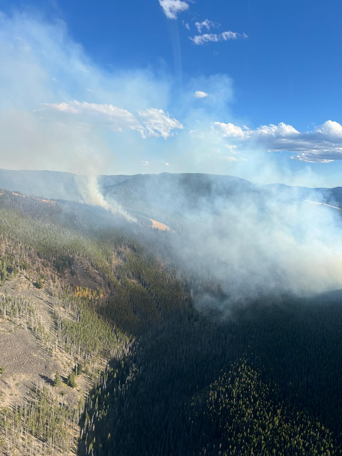 Smoke wisps from the Sheep Creek fire in the remote area of the forest.