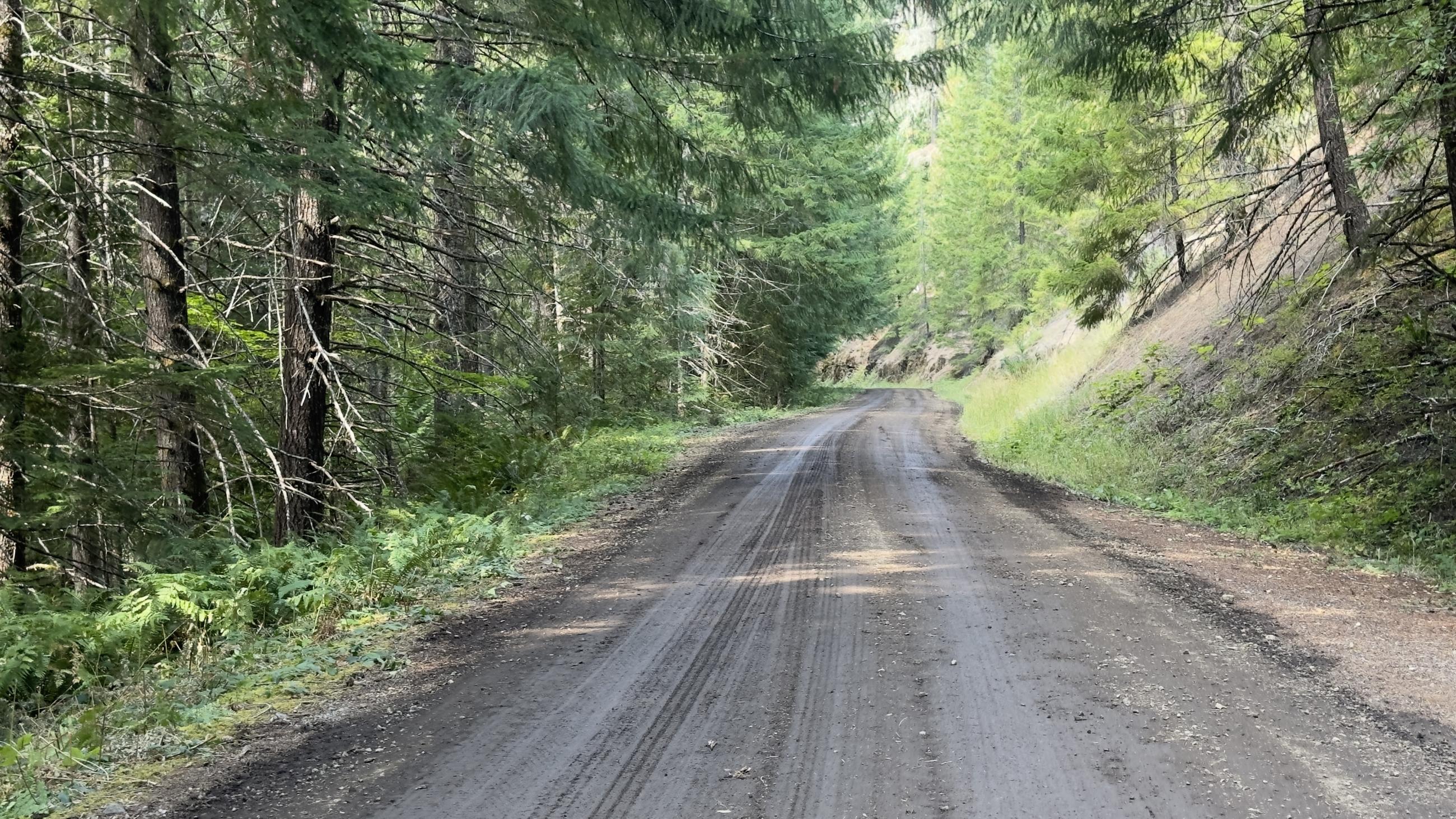 Example of suppression repair - regraded road