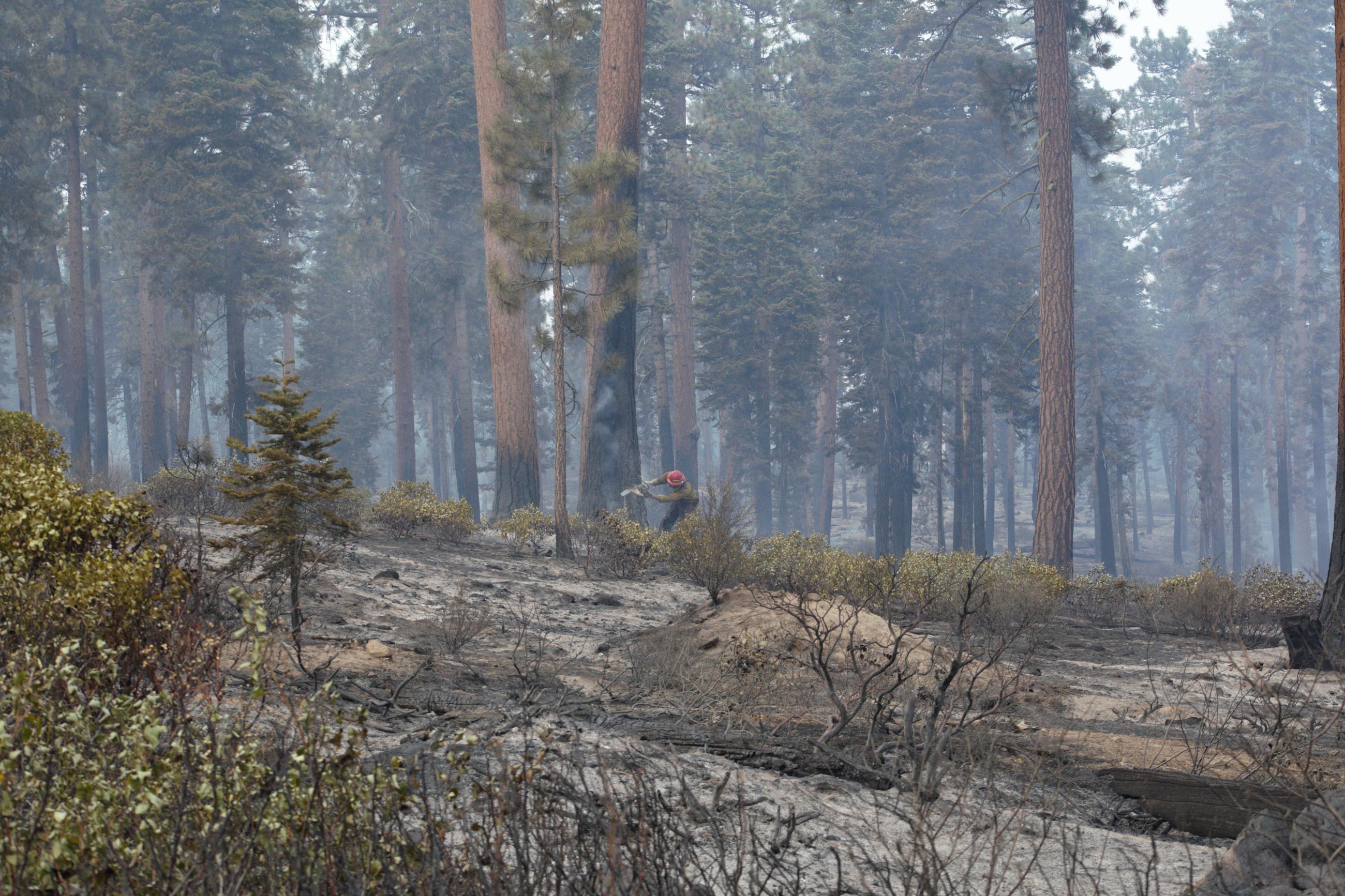 Fellers working on the Buck Creek Fire