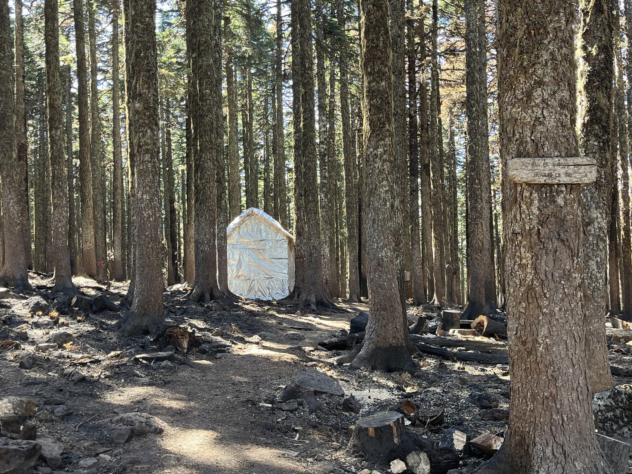 Fire-resistant wrap of a historic USFS cabin