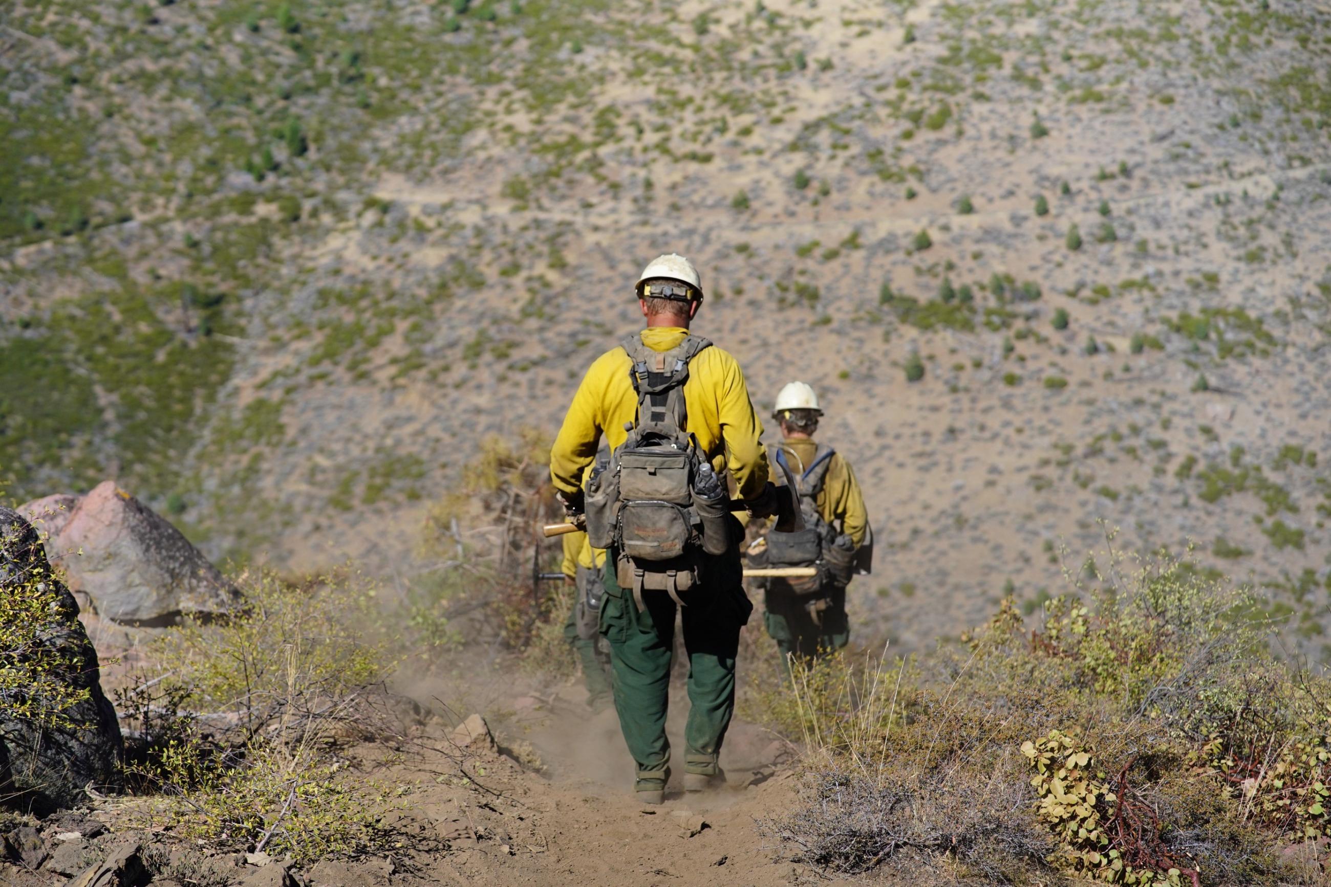 firefighters walking down a fireline on the Bear Fire