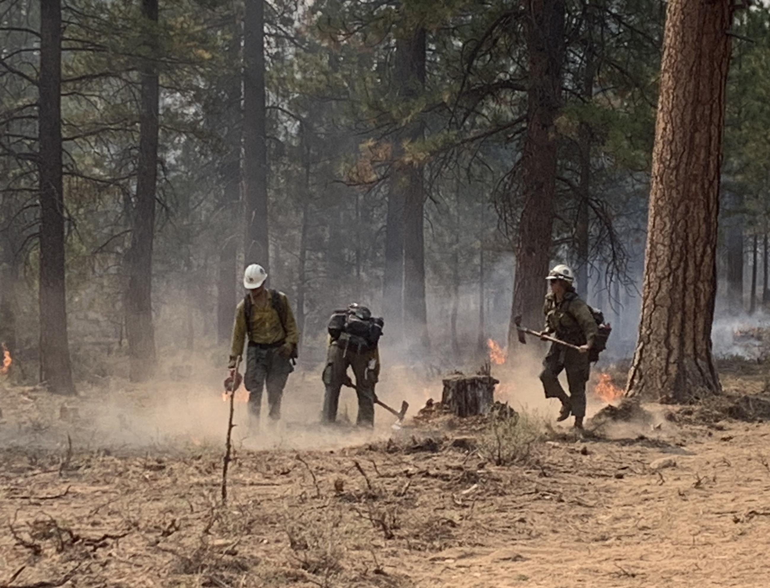 Firefighters conducting firing operations on the Buck Creek Fire.