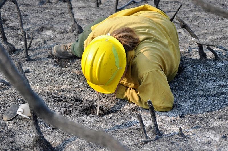 Soil scientist evaluating water repellency of burned soil