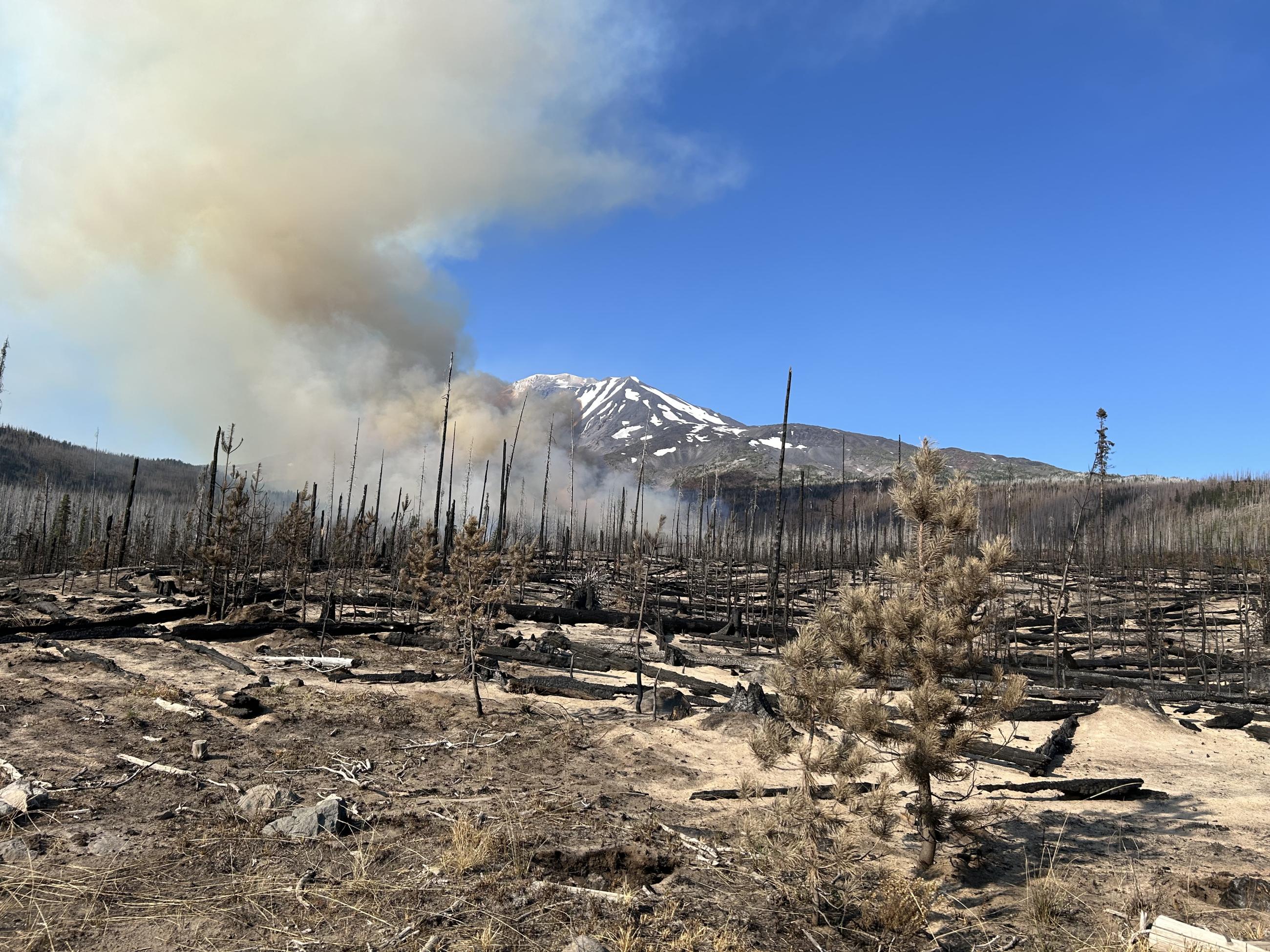 Smoke rises from fire burning in fuels on the ground in a burn scar near Morrison Creek, 8-31-24