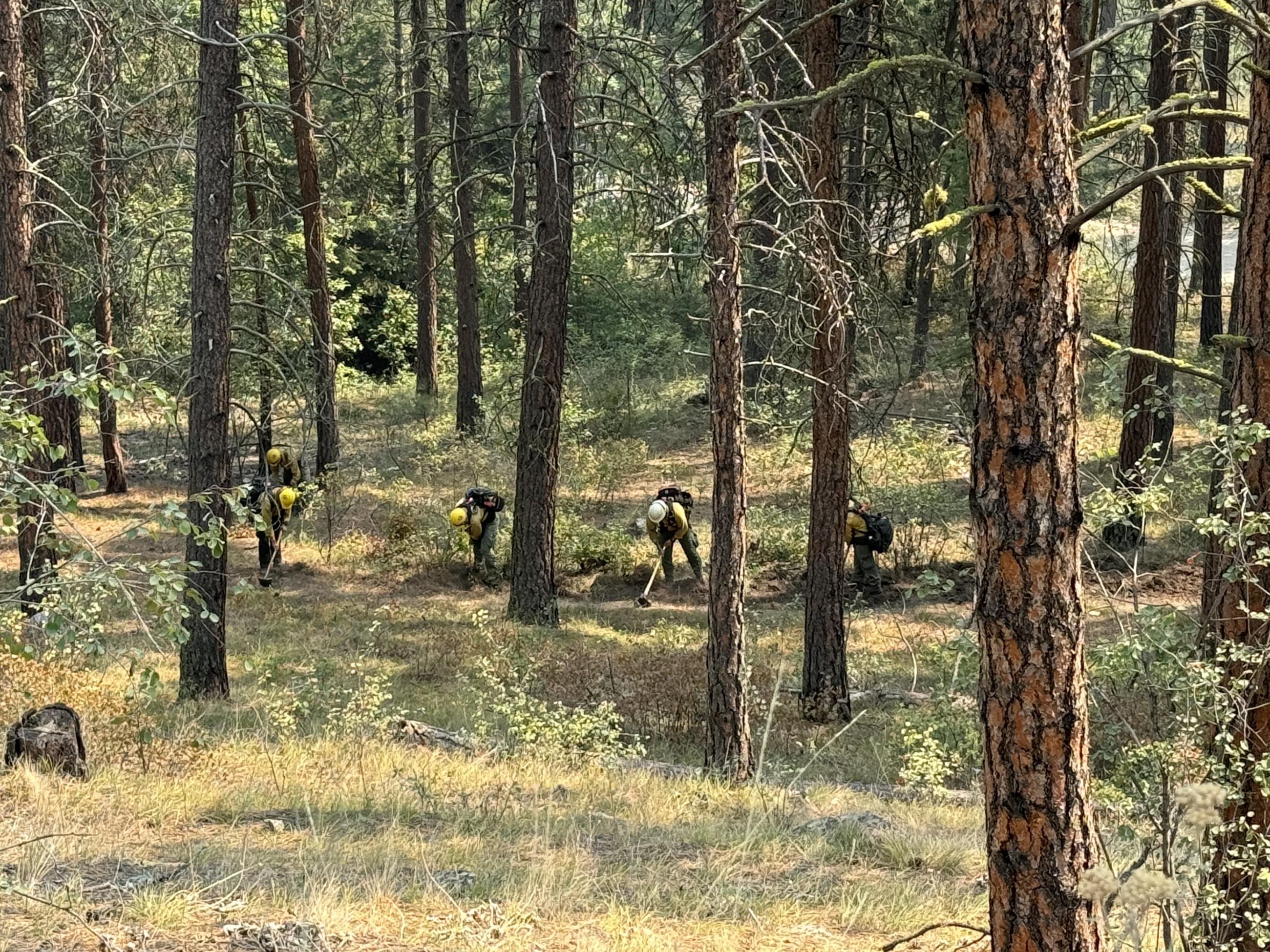 Crew Digging Indirect Handline