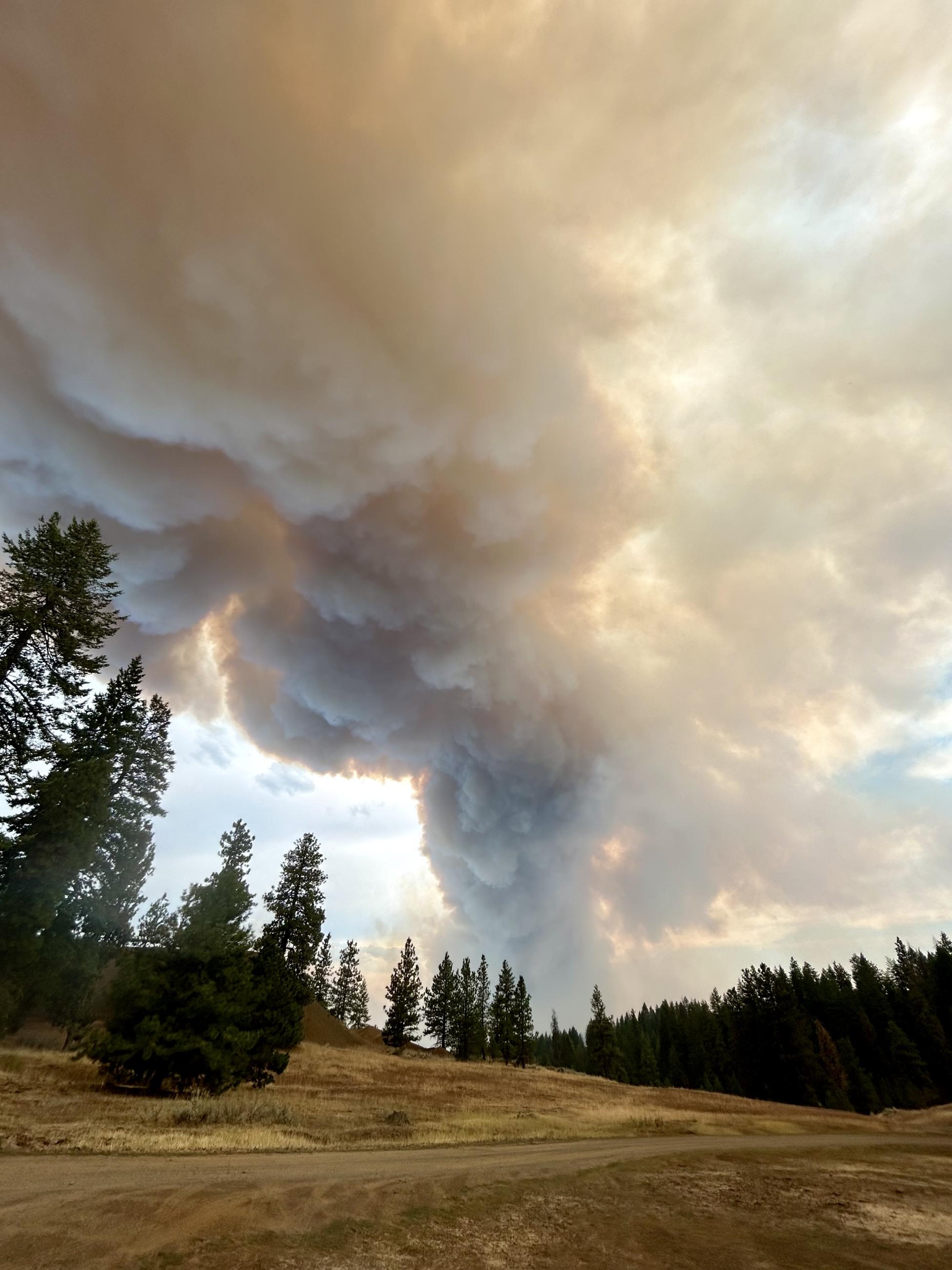 Smoke Column from the Lava Fire