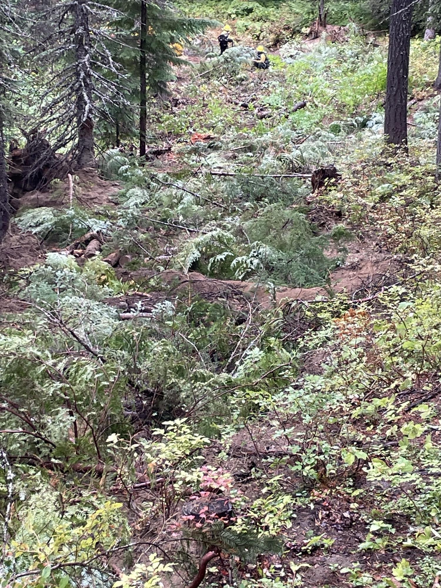 Dozer line with branches and other woody debris spread over it to stabilize it