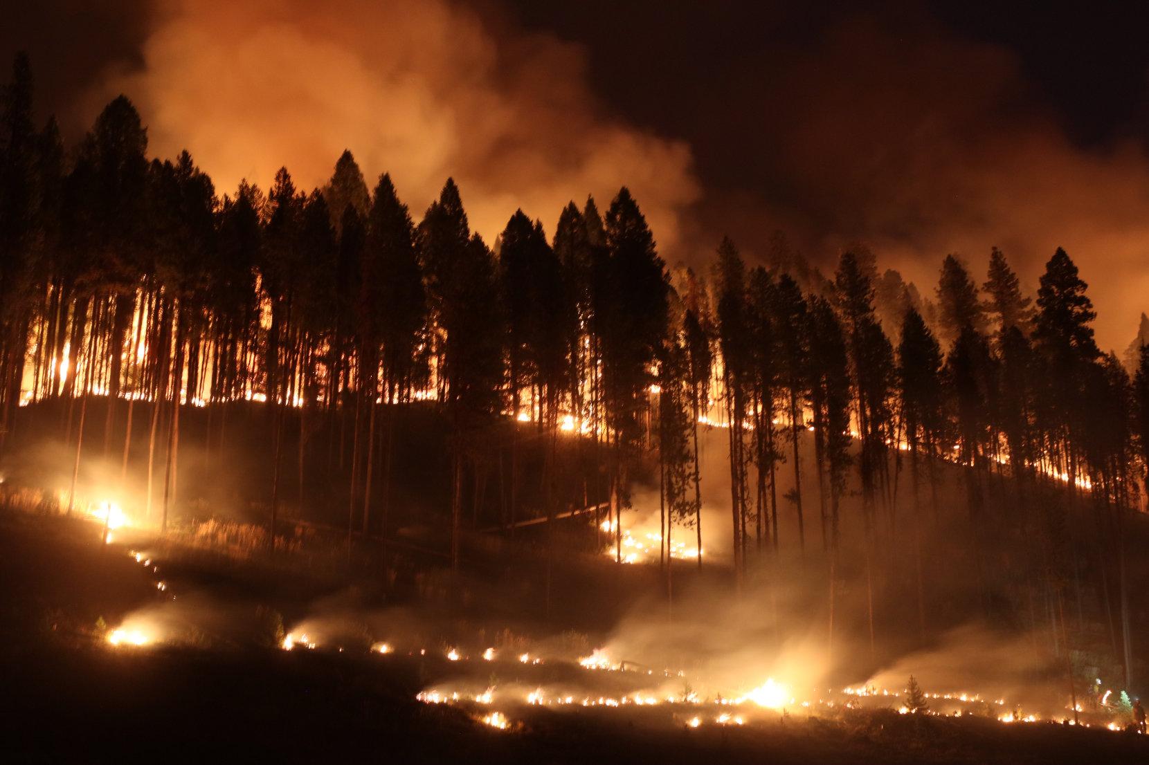 Fire Consumes Ground Fuels Above East Fork Road at Night