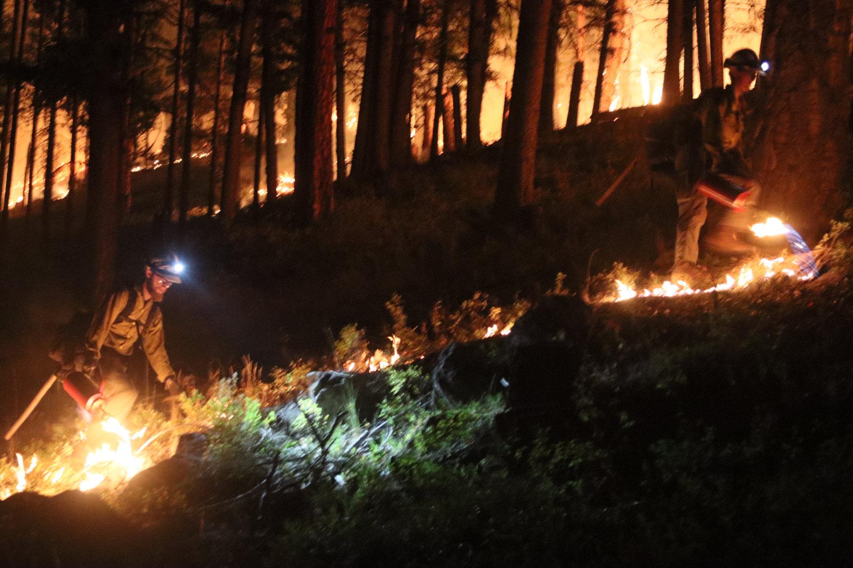 Firefighters Light Ground Fuels with Drip Torches at Night #1