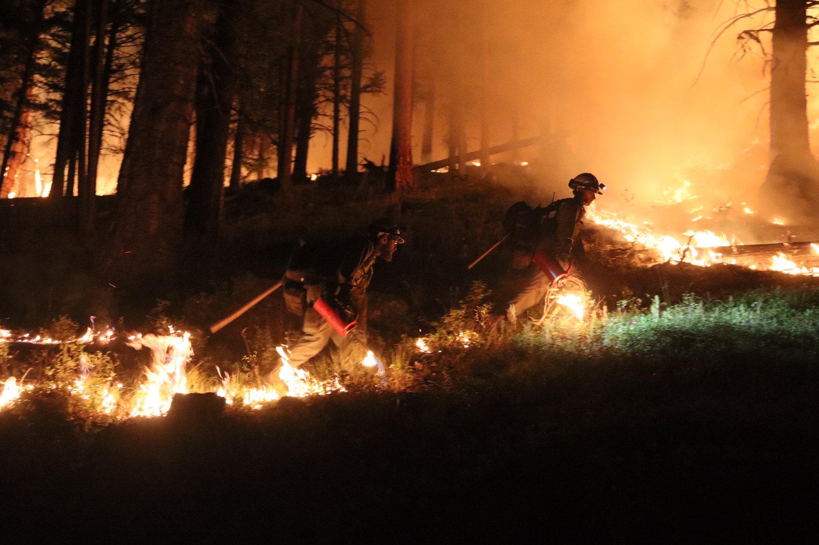 Firefighters Light Ground Fuels with Drip Torches at Night #2