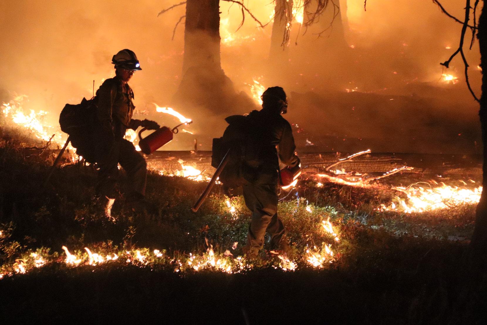 Firefighters Light Ground Fuels with Drip Torches at Night #3