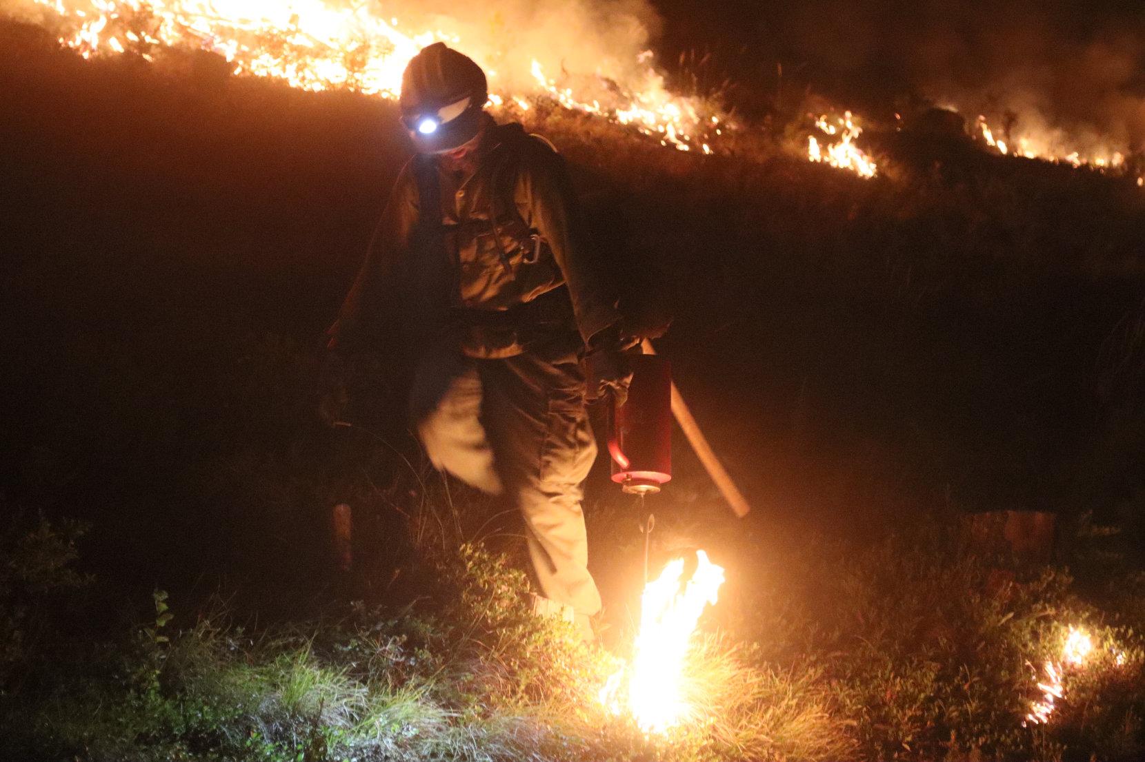 Firefighter Lights Ground Fuels with Drip Torches at Night #1