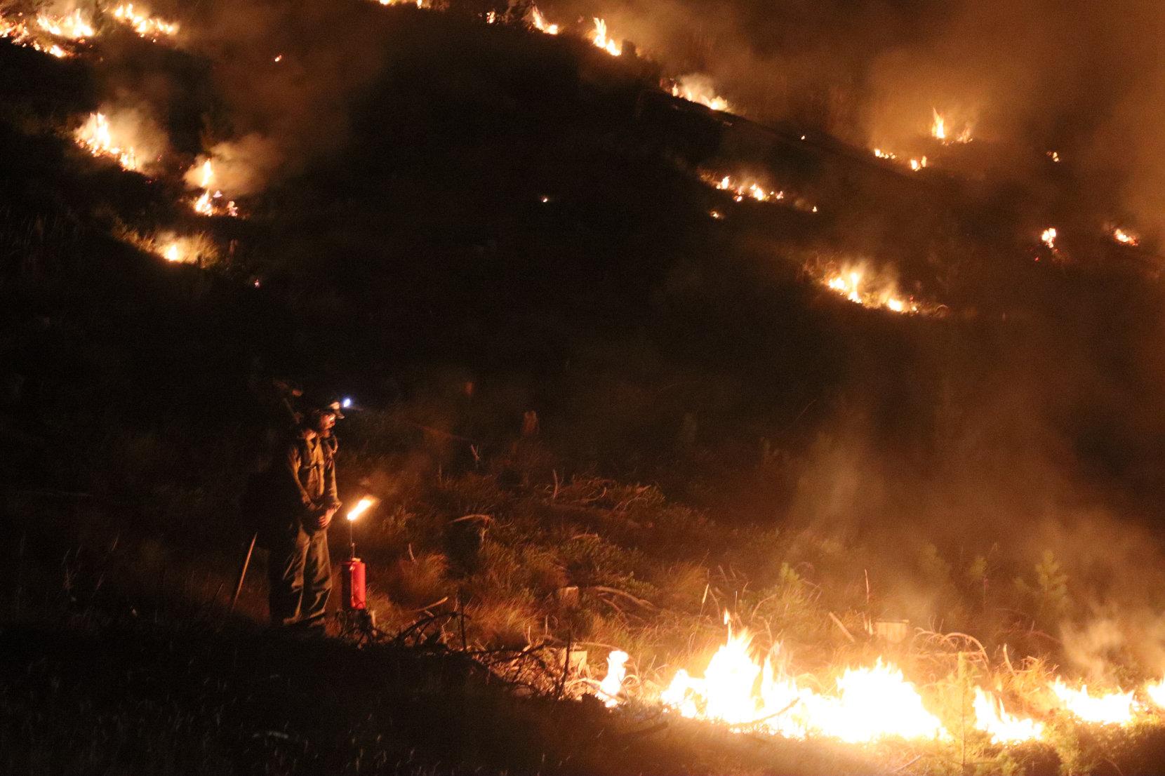 Firefighter Stands with Drip Torch with Fire in Background