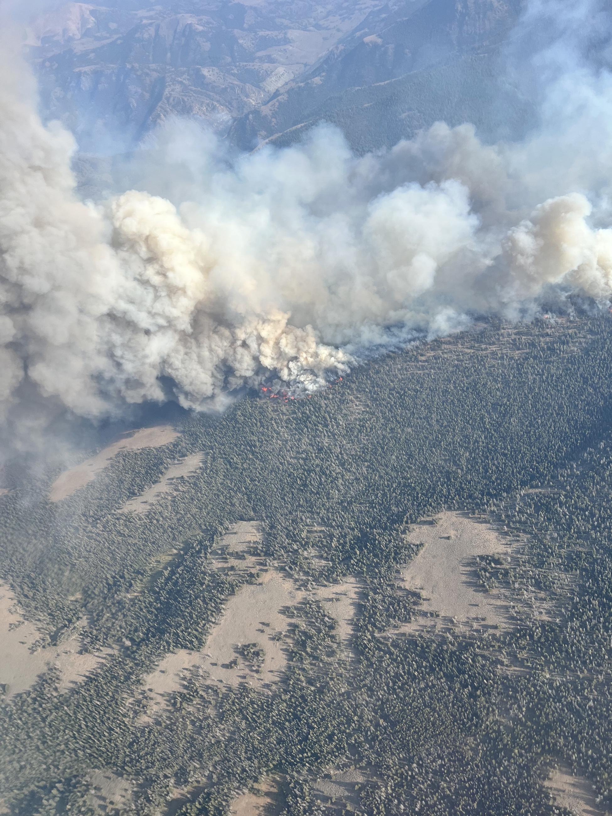 An aerial view of the fire burning through timber on the mountain side