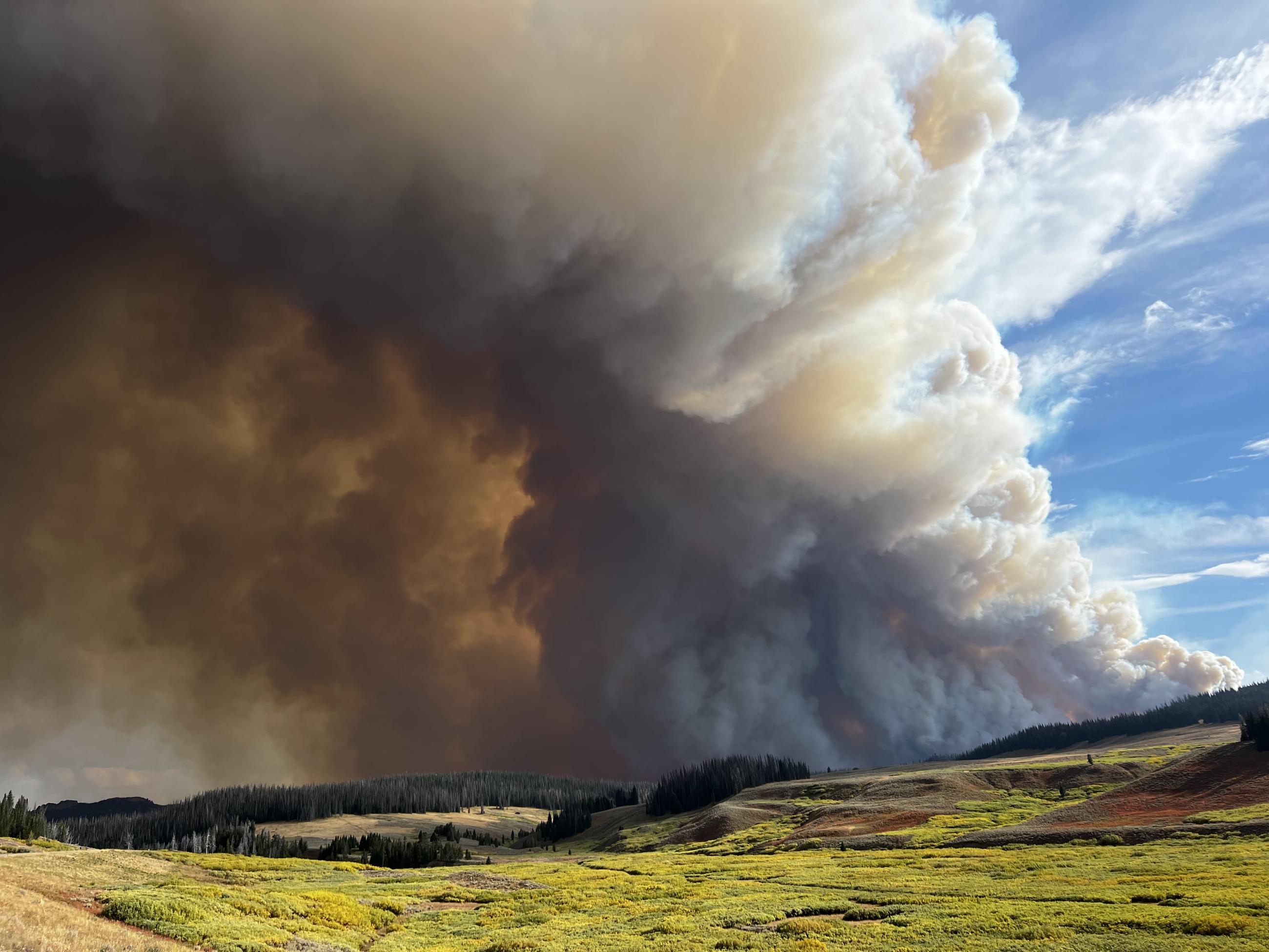 Fire smoke in the meadow