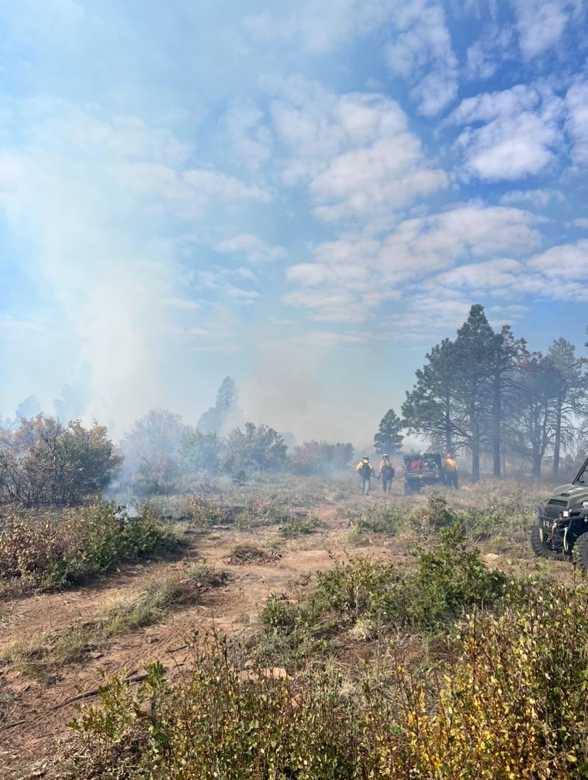 Image of firefighters with UTV's on a two-tracked road with white smoke rising above the vegetation on the West Dolores Rim prescribed burn.