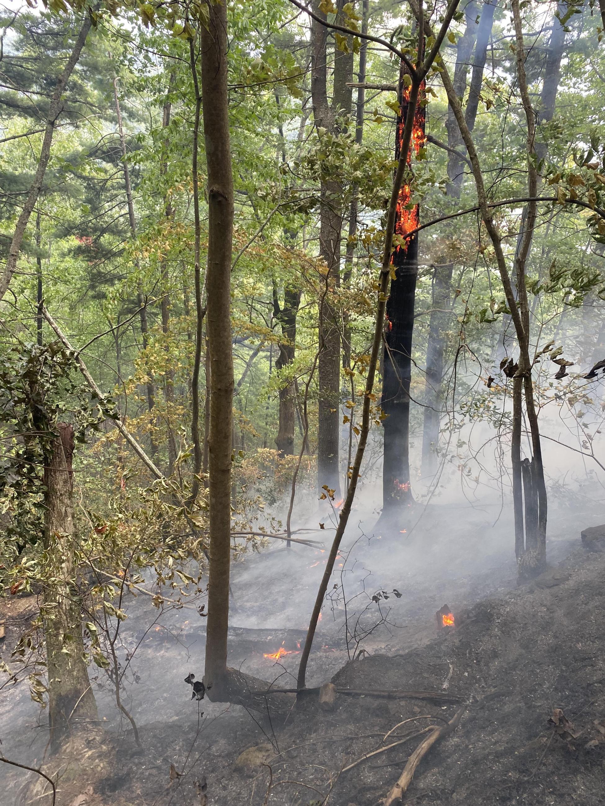 Image of smoke from Fork Ridge Fire burning on the Cherokee National Forest.